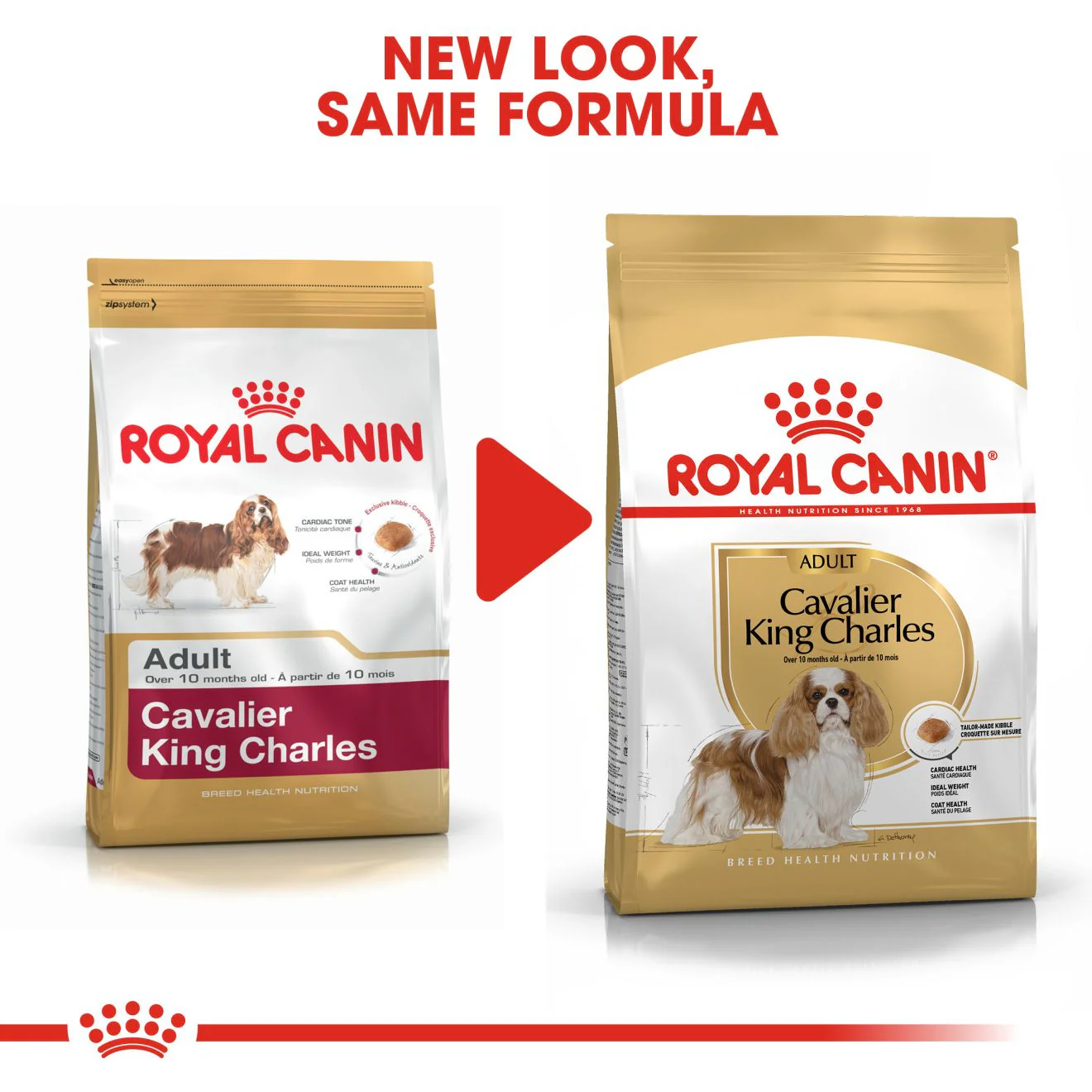 Royal Canin Breed Health Nutrition Cavalier King Charles Adult Dry Dog Food - Image 6