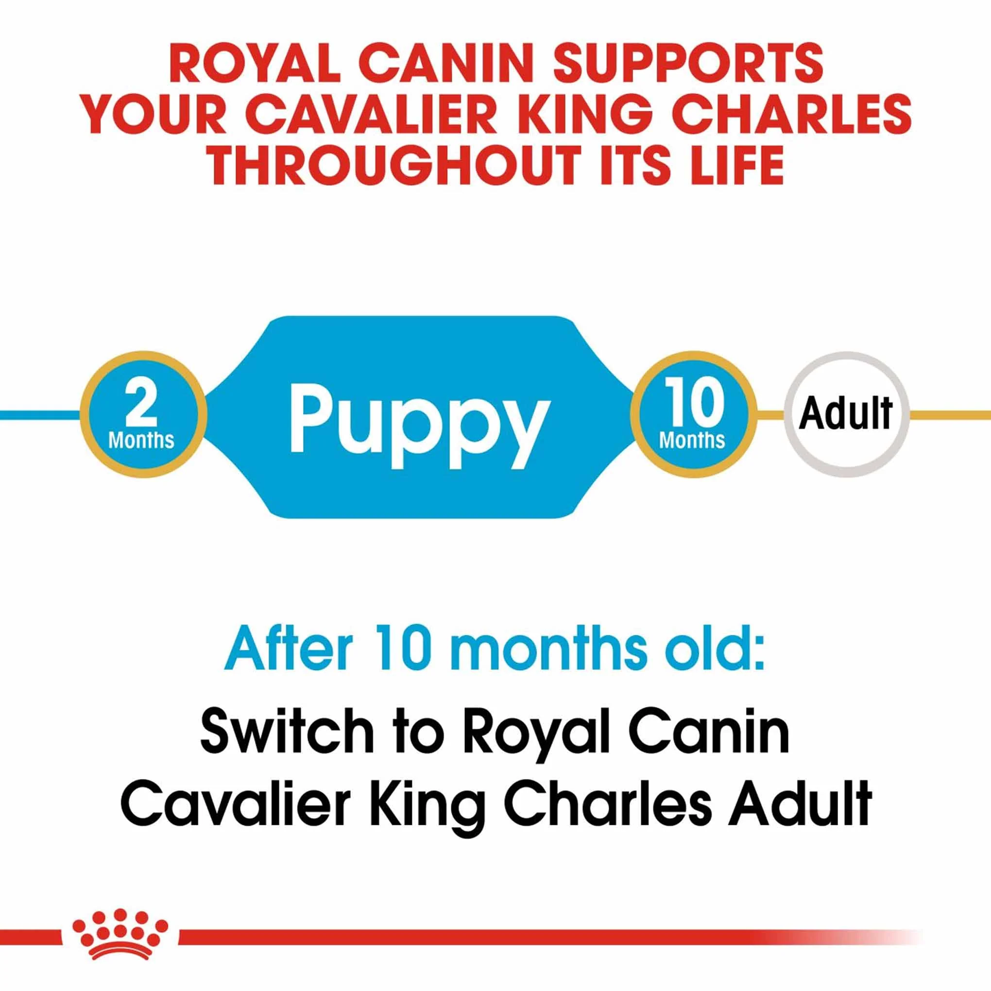 Royal Canin Breed Health Nutrition Cavalier King Charles Puppy Dry Dog Food - Image 3