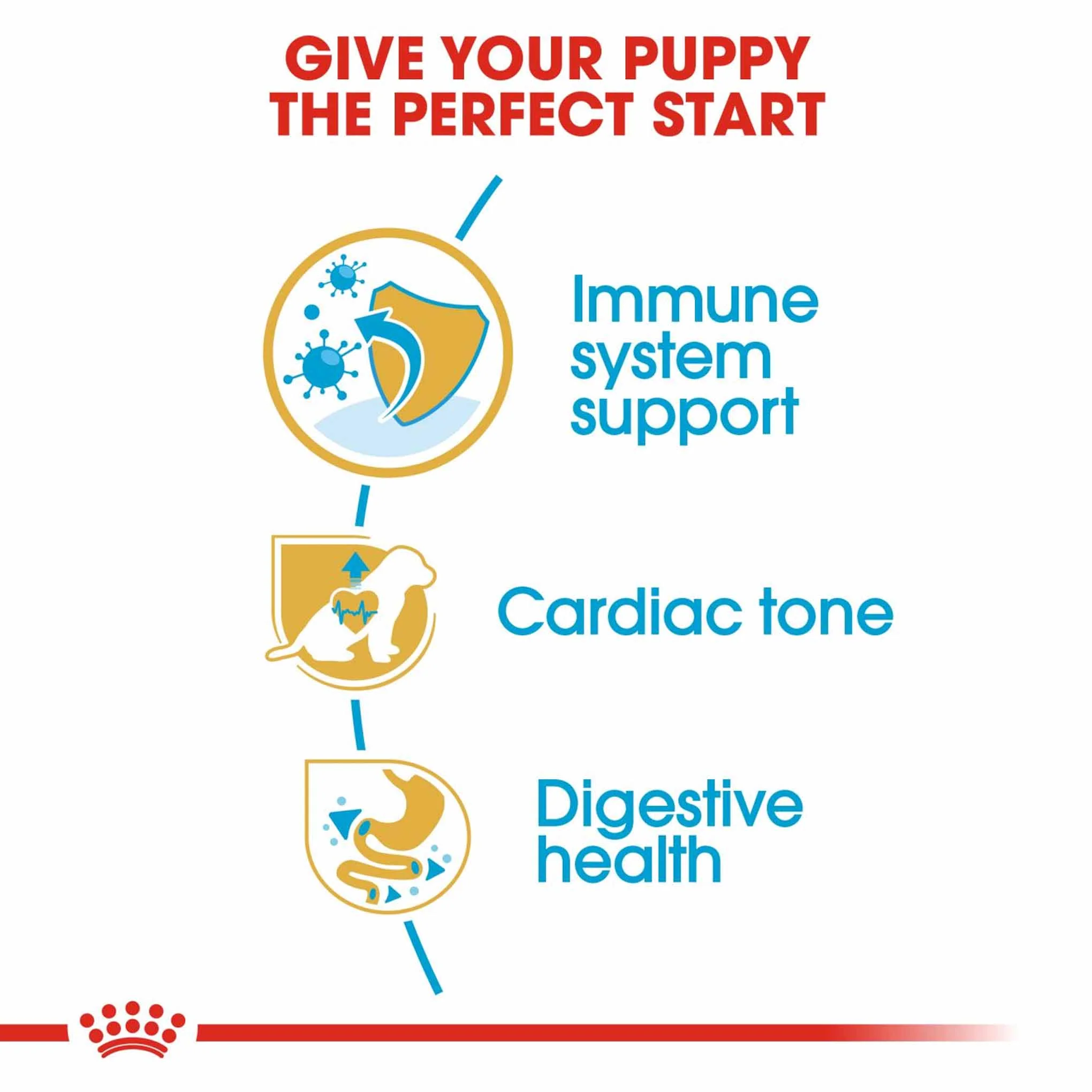 Royal Canin Breed Health Nutrition Cavalier King Charles Puppy Dry Dog Food - Image 5