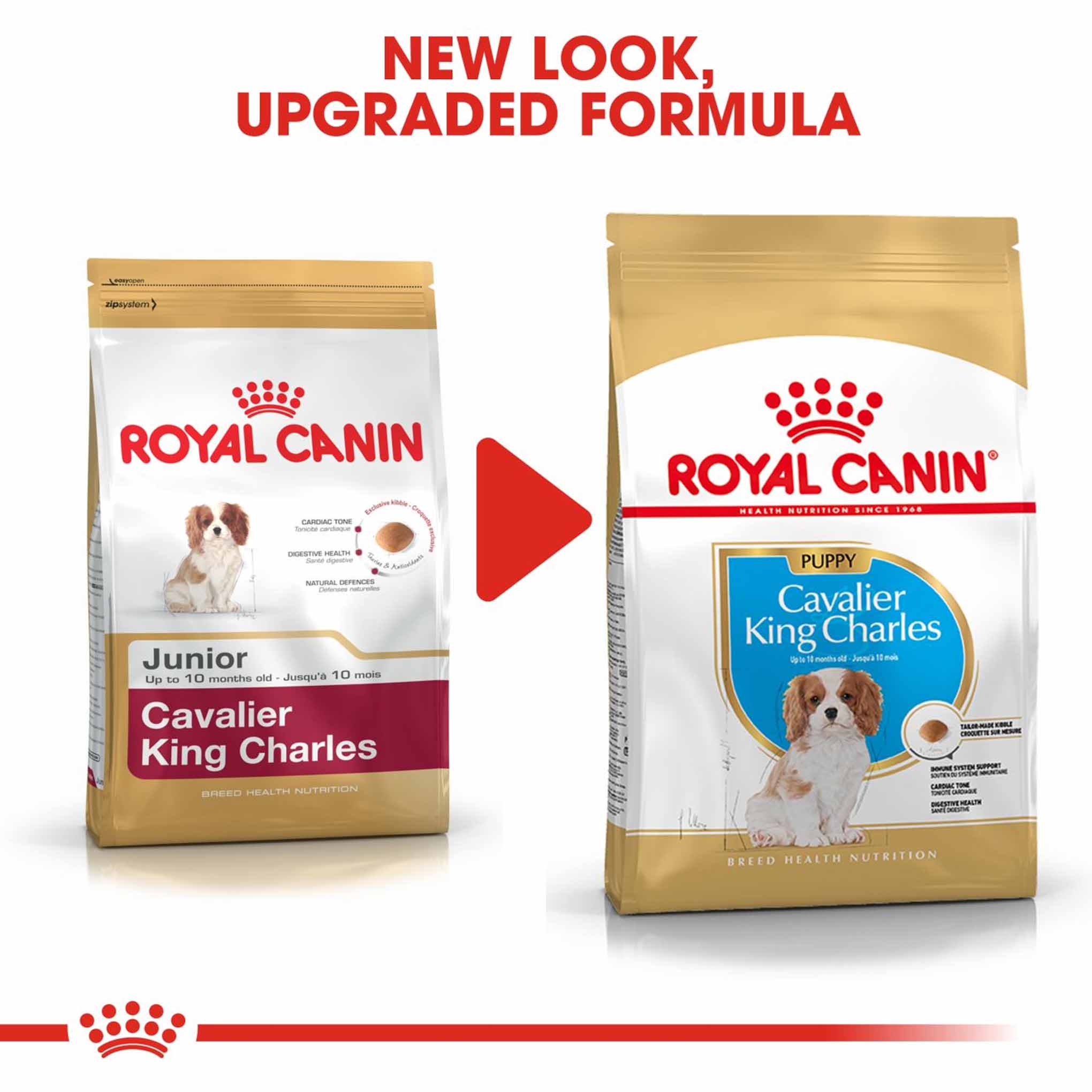 Royal Canin Breed Health Nutrition Cavalier King Charles Puppy Dry Dog Food - Image 8