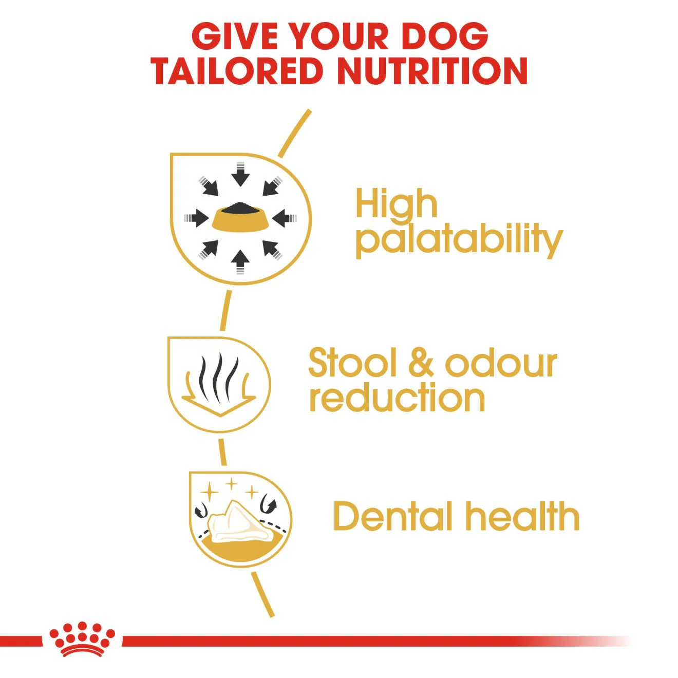 Royal Canin Breed Health Nutrition Chihuahua Adult Dry Dog Food - Image 4