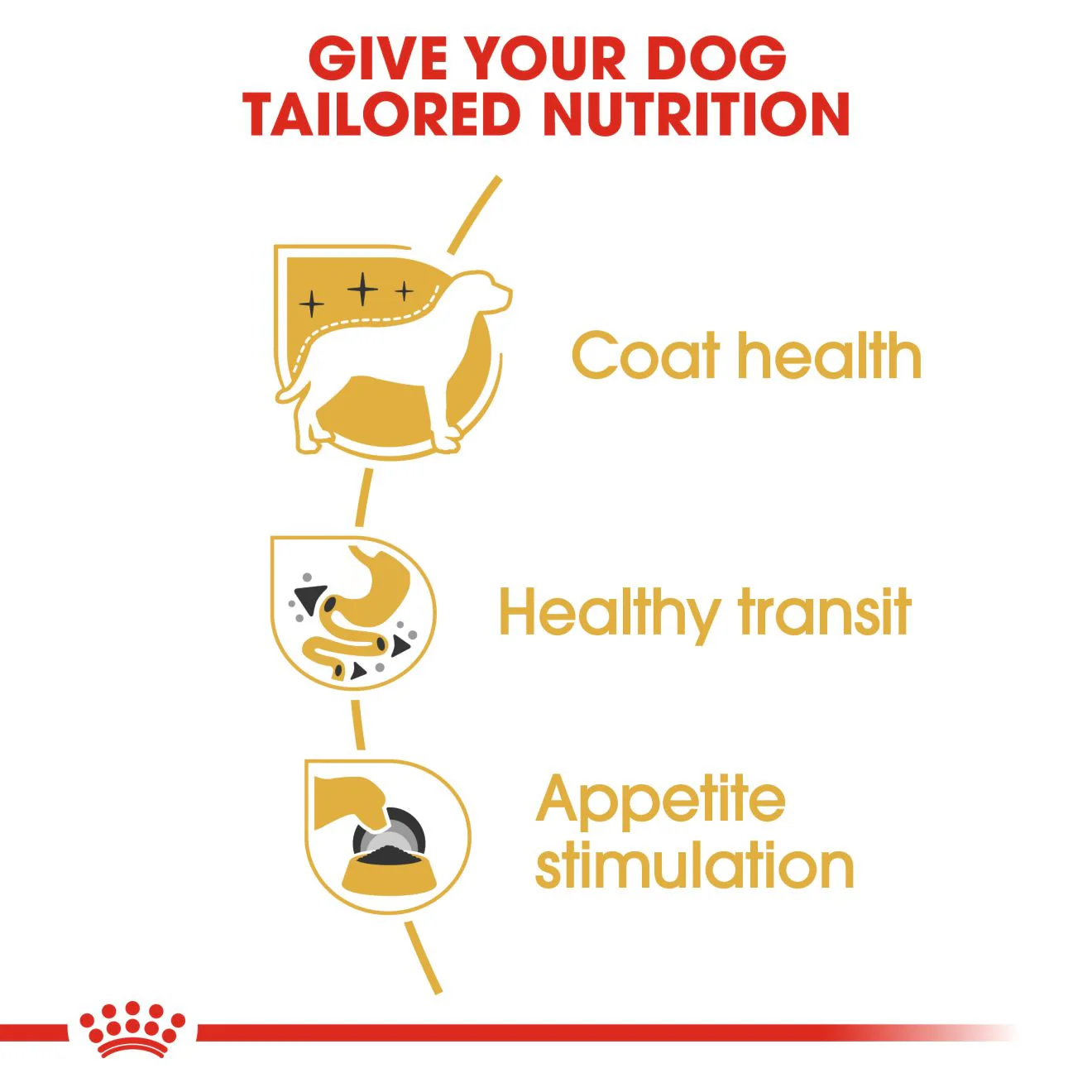 Royal Canin Breed Health Nutrition Chihuahua Adult Wet Dog Food -12x85g Pouches - Image 4