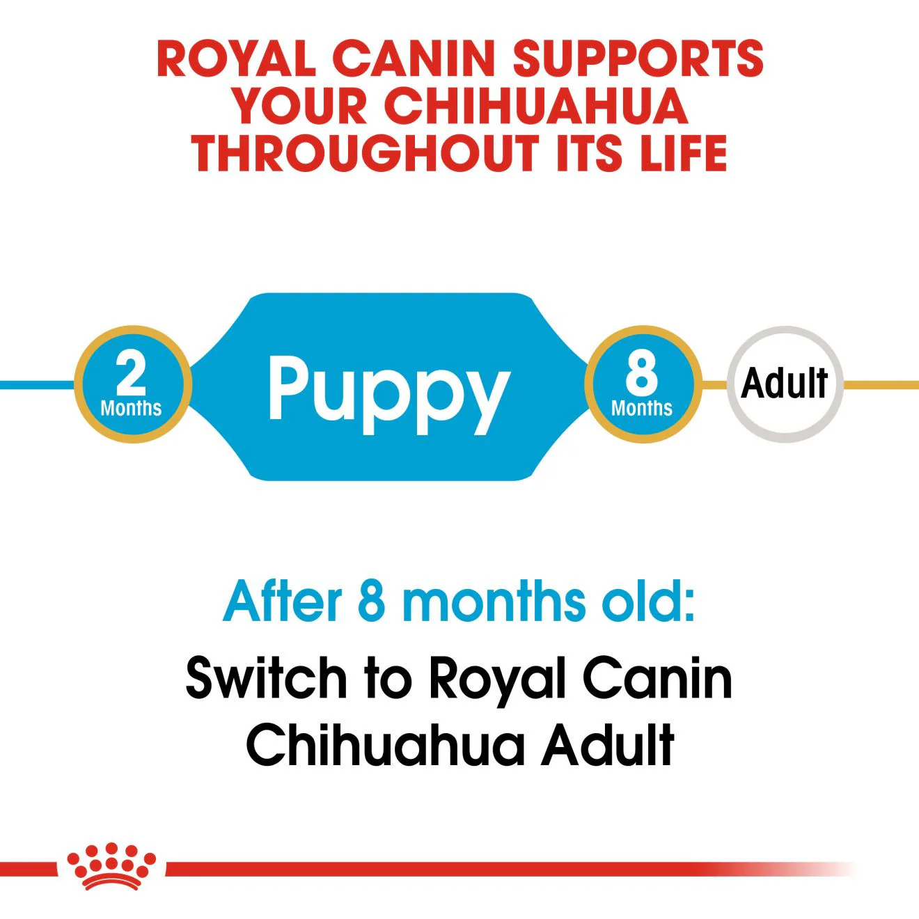 Royal Canin Breed Health Nutrition Chihuahua Puppy Dry Dog Food - Image 3