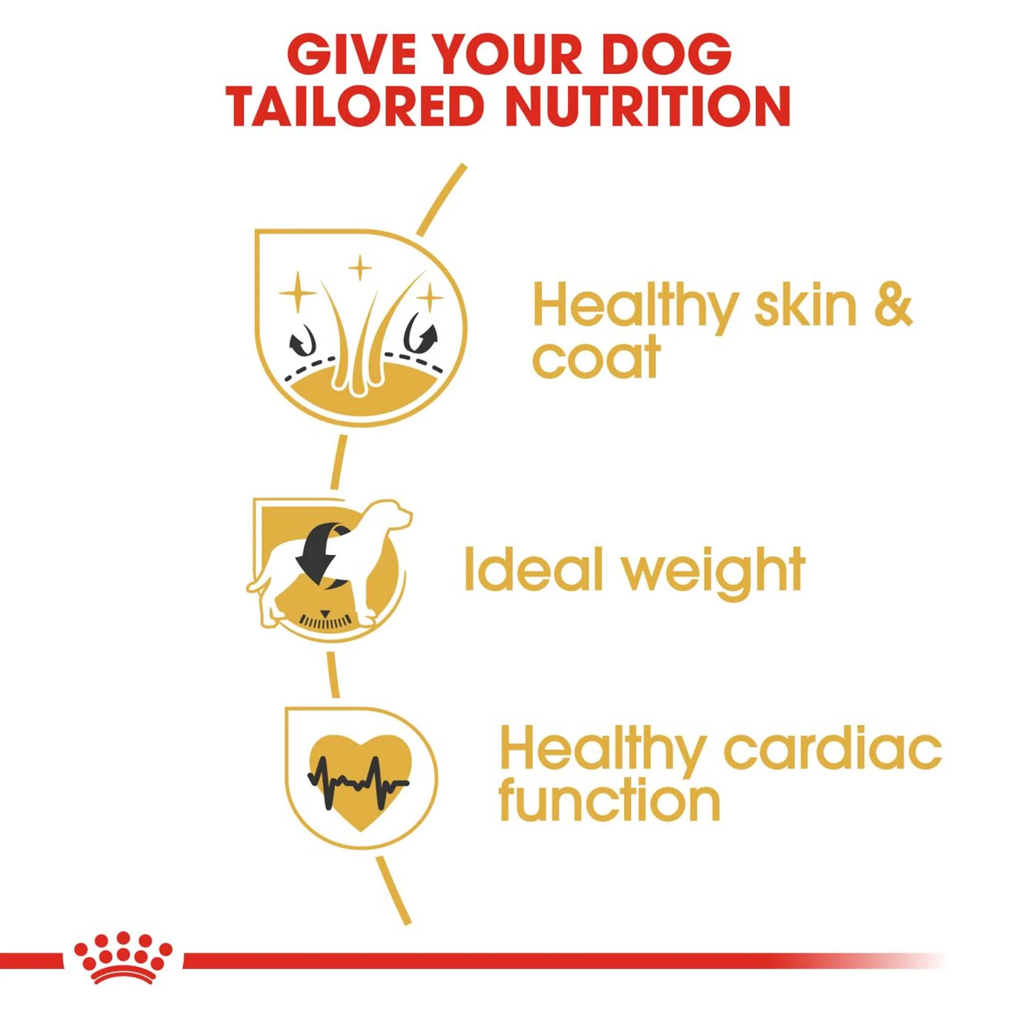Royal Canin Breed Health Nutrition Cocker Adult Dry Dog Food - Image 3