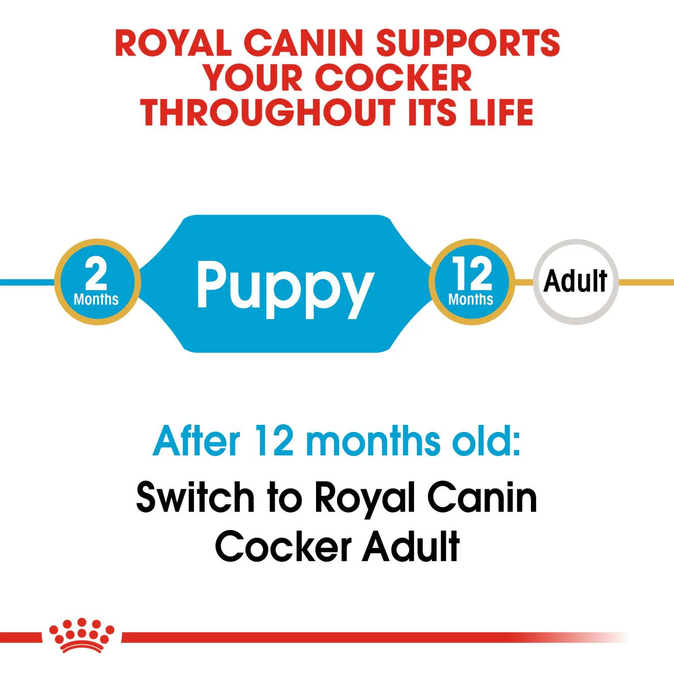 Royal Canin Breed Health Nutrition Cocker Puppy Dry Dog Food - Image 3