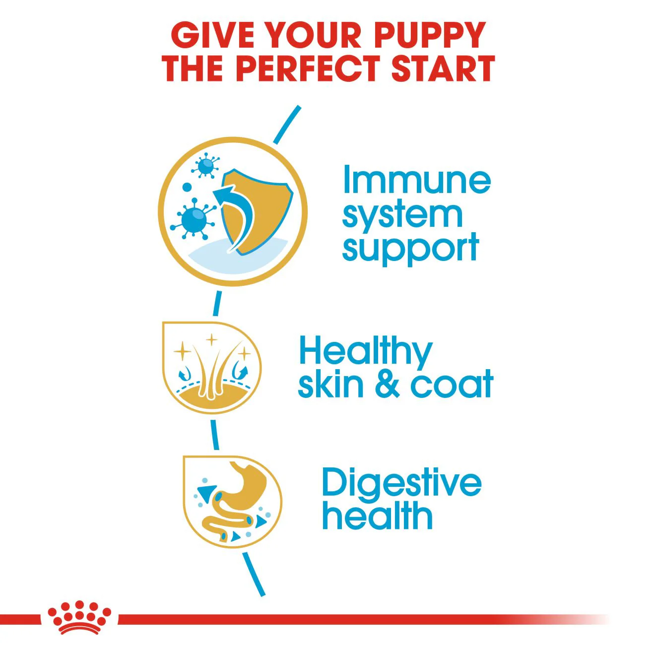 Royal Canin Breed Health Nutrition Cocker Puppy Dry Dog Food - Image 5