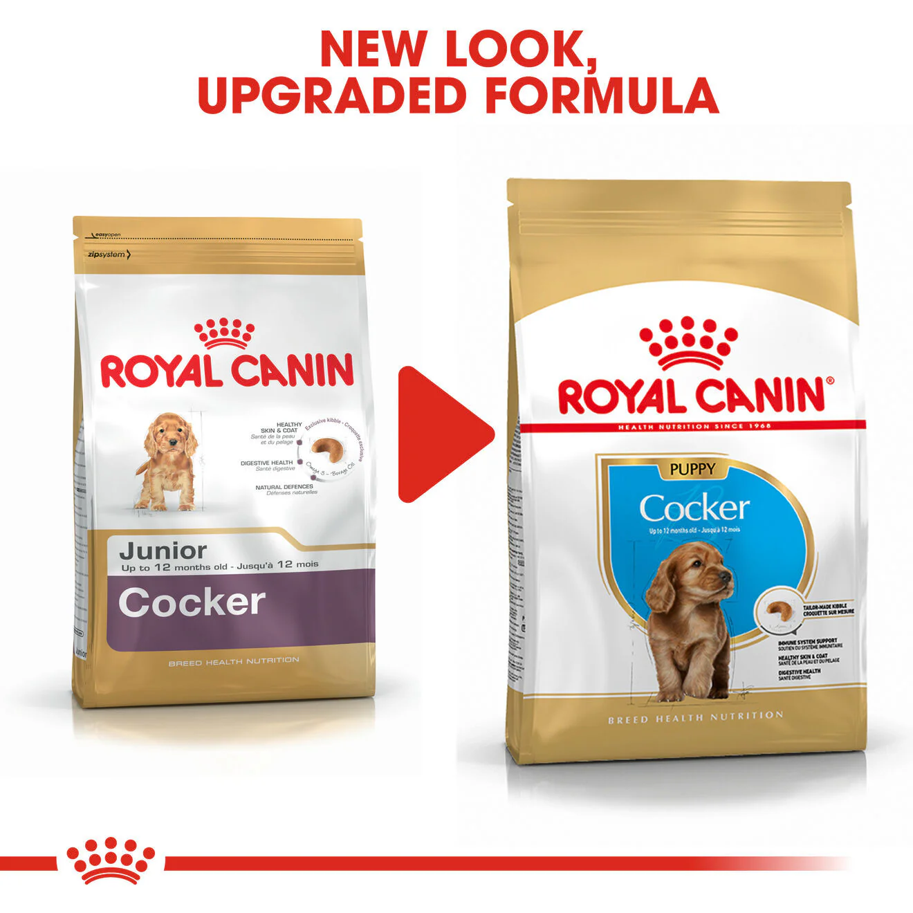 Royal Canin Breed Health Nutrition Cocker Puppy Dry Dog Food - Image 8