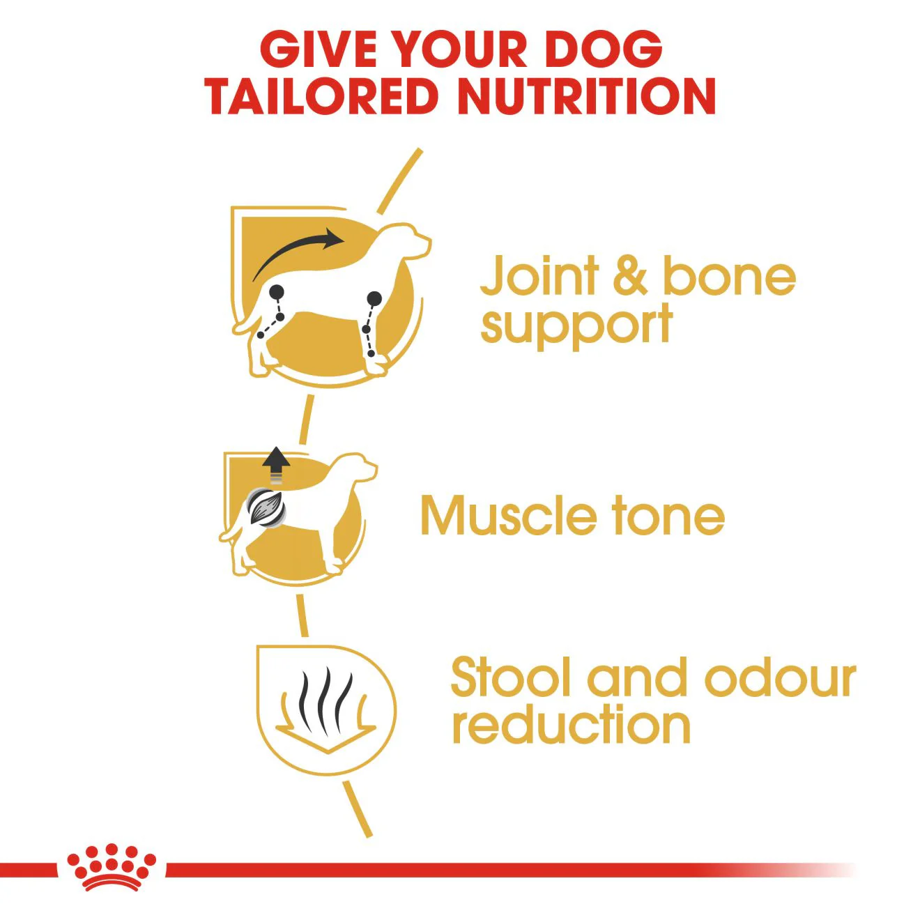 Royal Canin Breed Health Nutrition Dachshund Adult Dry Dog Food - Image 3