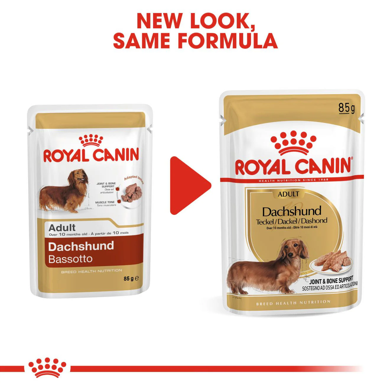Royal Canin Breed Health Nutrition Dachshund Adult Wet Dog Food - 12x85g Pouches - Image 6