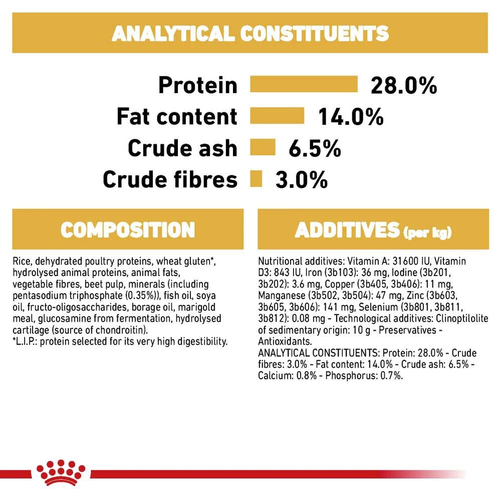 Royal Canin Breed Health Nutrition Dachshund Adult Wet Dog Food - 12x85g Pouches - Image 7
