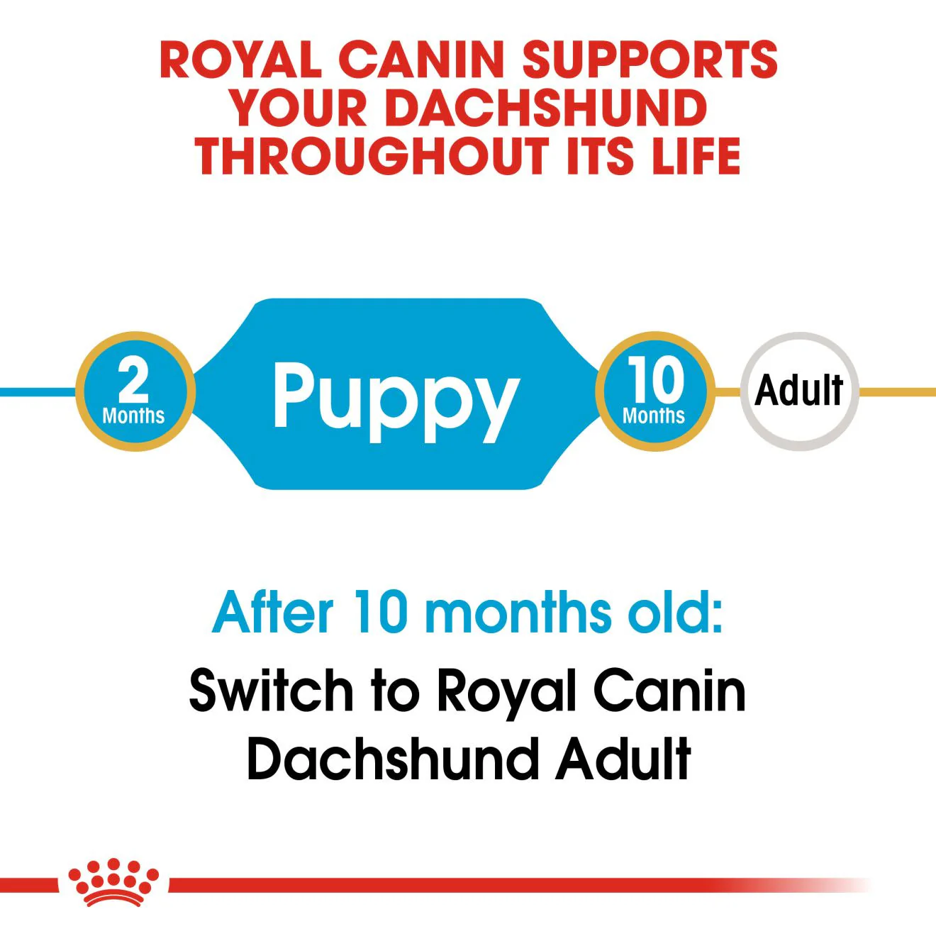 Royal Canin Breed Health Nutrition Dachshund Puppy Dry Dog Food - Image 3