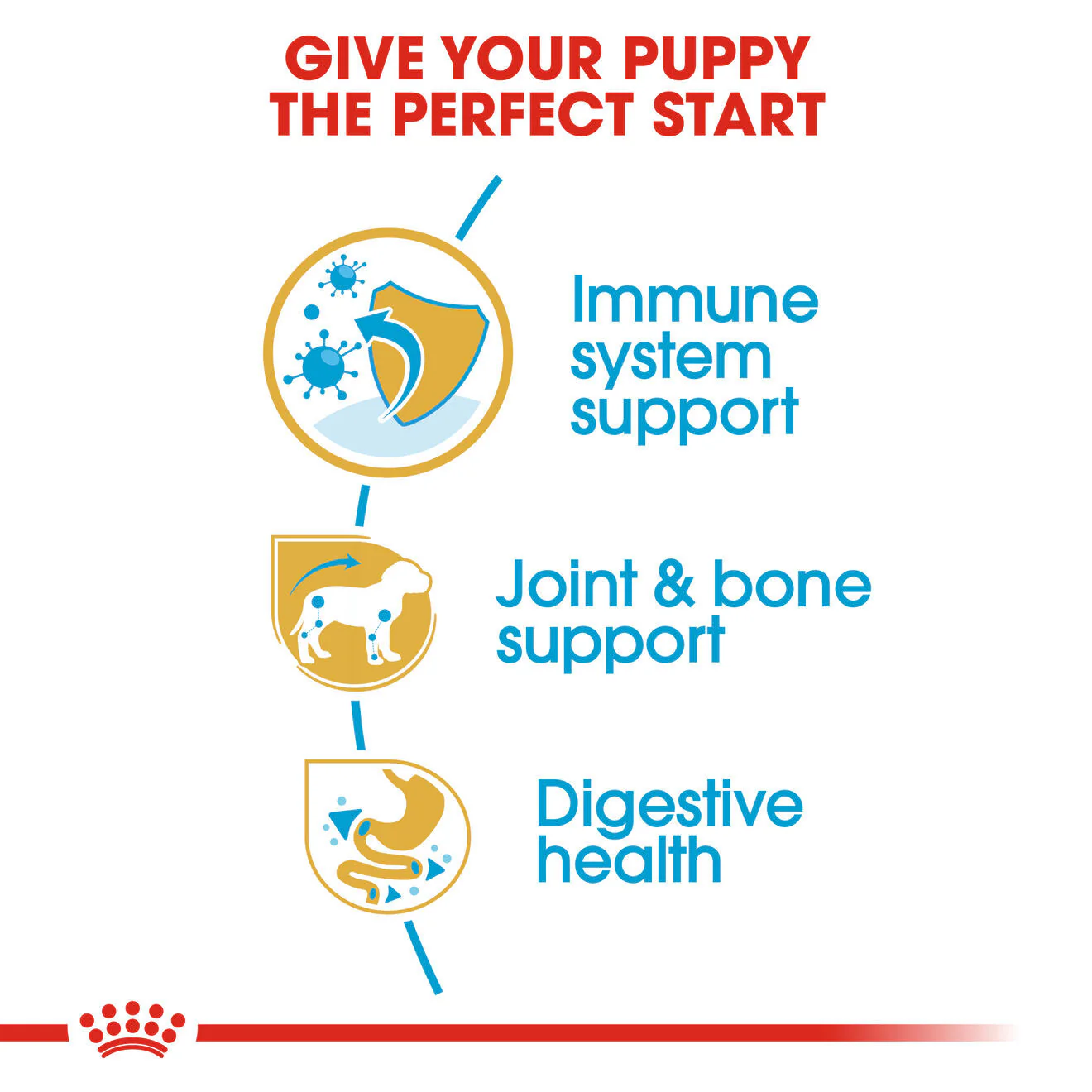 Royal Canin Breed Health Nutrition Dachshund Puppy Dry Dog Food - Image 5