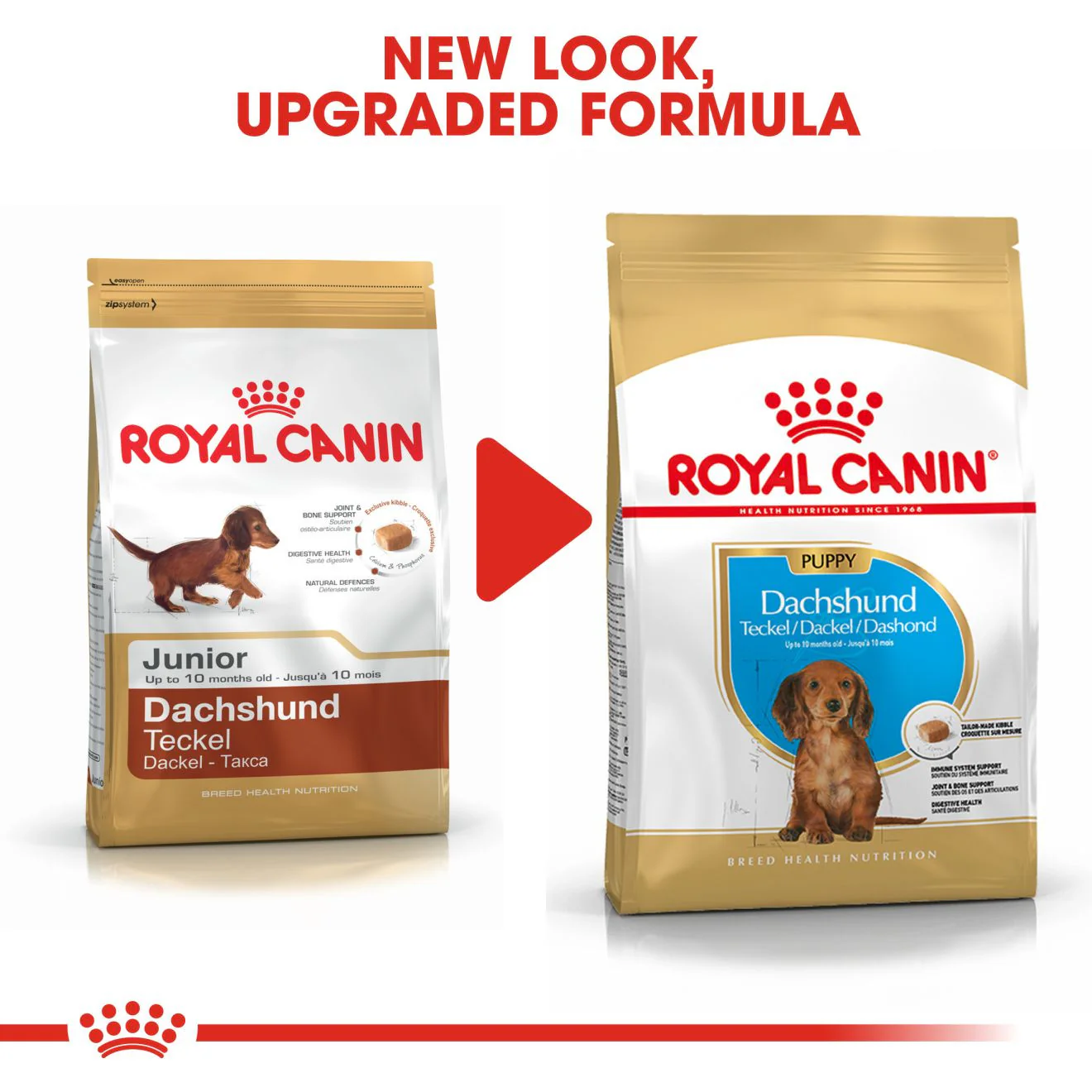 Royal Canin Breed Health Nutrition Dachshund Puppy Dry Dog Food - Image 8