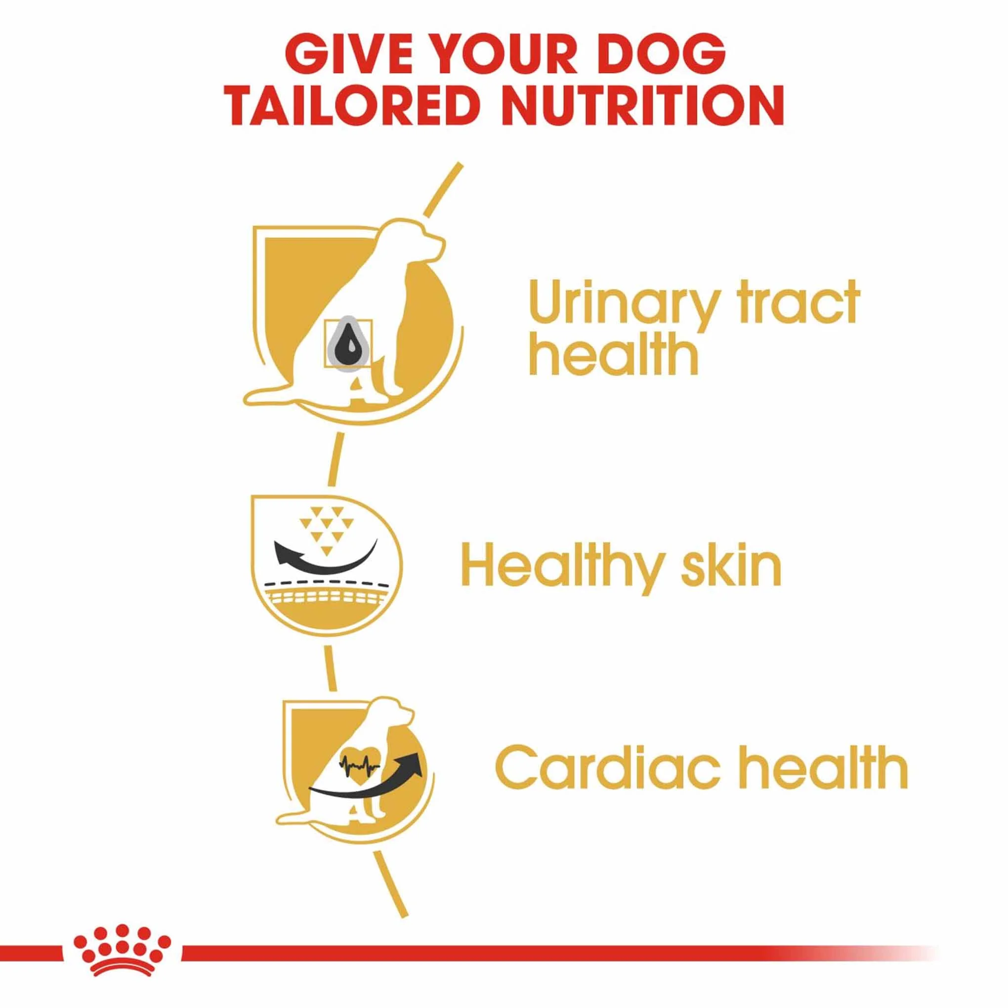 Royal Canin Breed Health Nutrition Dalmatian Adult Dry Dog Food - Image 5