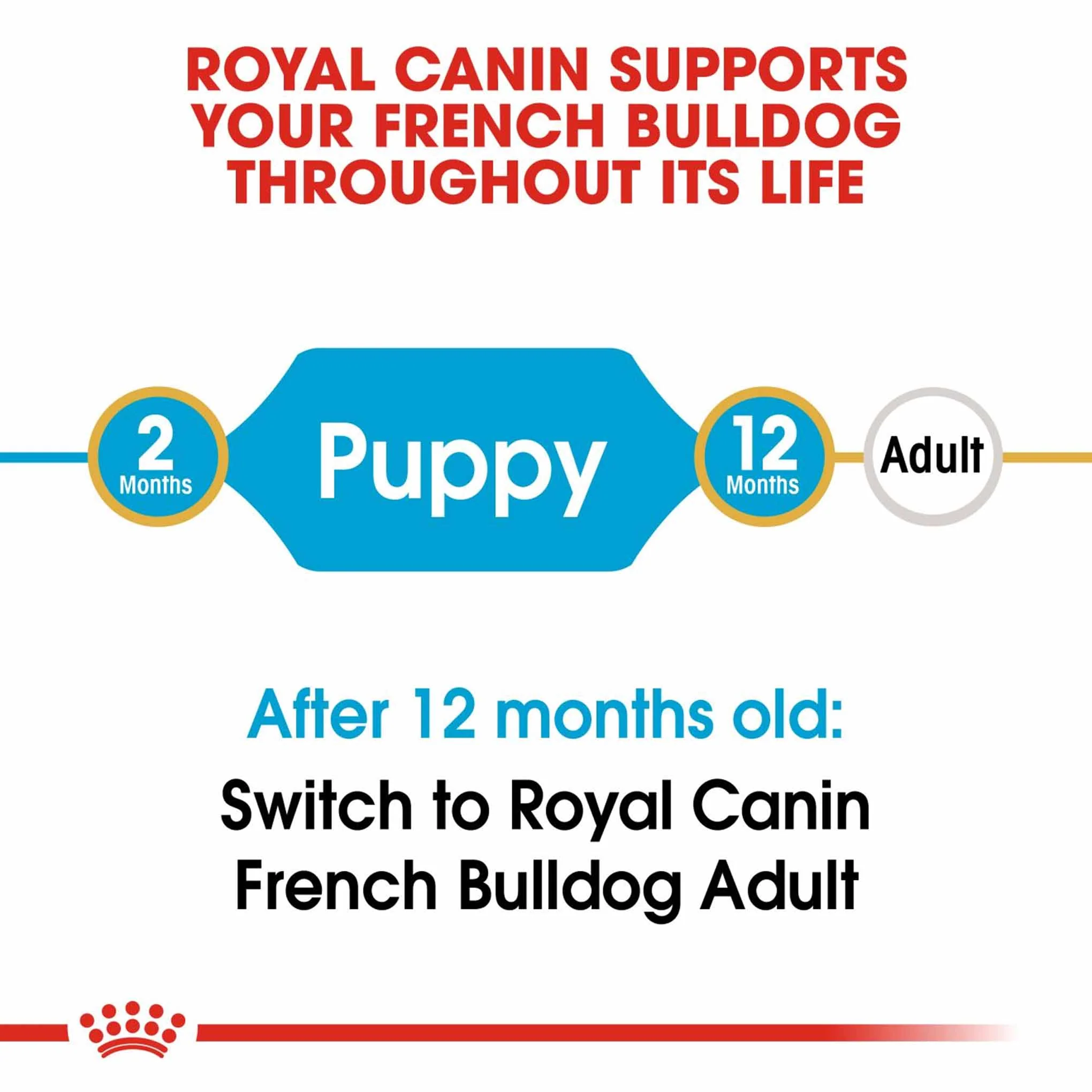 Royal Canin Breed Health Nutrition French Bulldog Puppy Dry Dog Food - Image 3