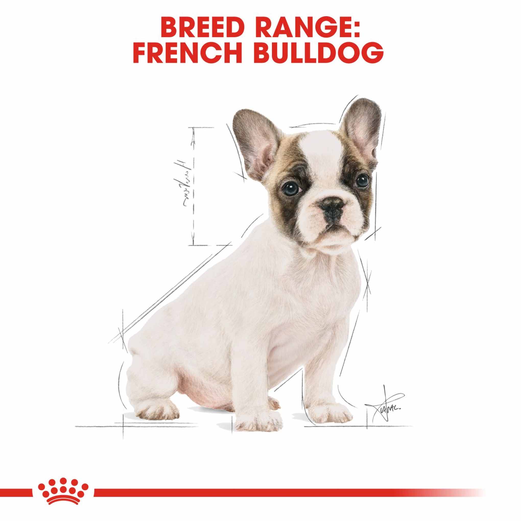 Royal Canin Breed Health Nutrition French Bulldog Puppy Dry Dog Food - Image 6