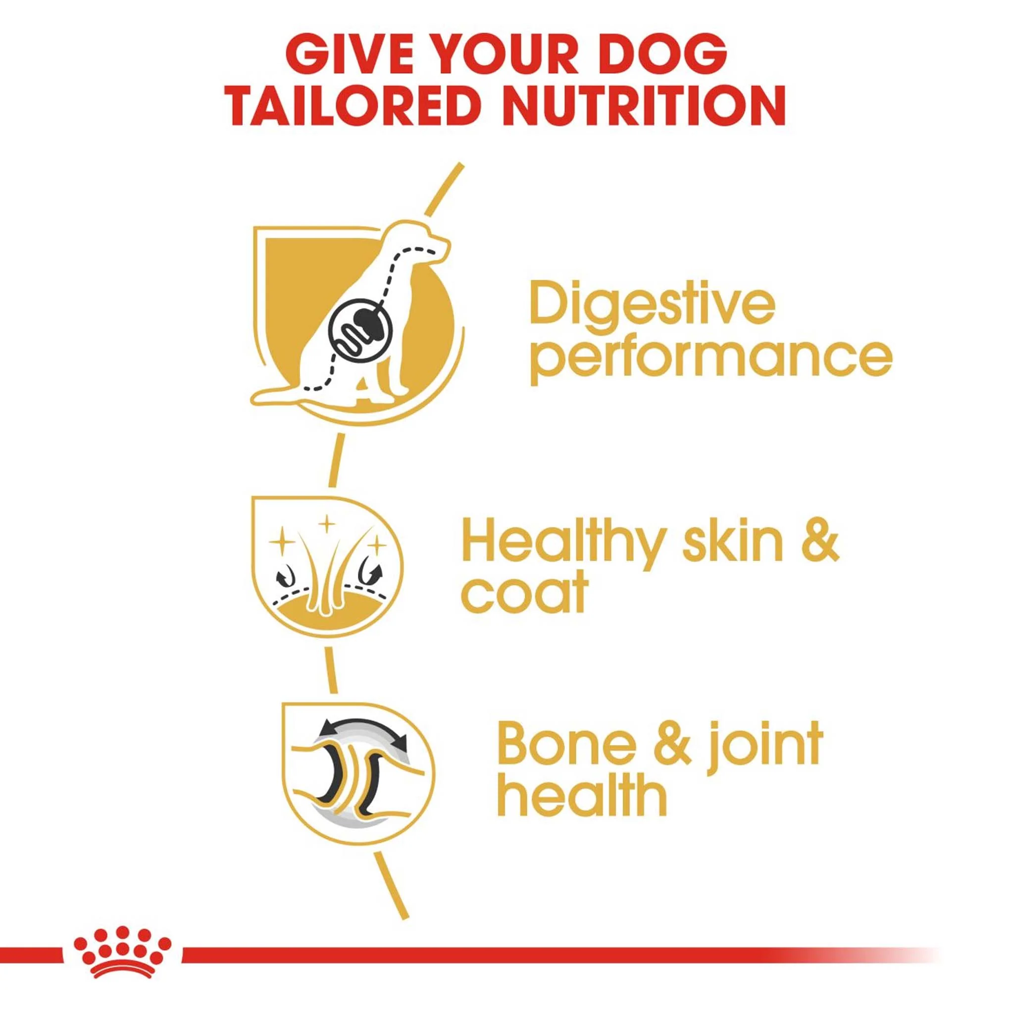 Royal Canin Breed Health Nutrition German Shepherd Adult Dry Dog Food - Image 5