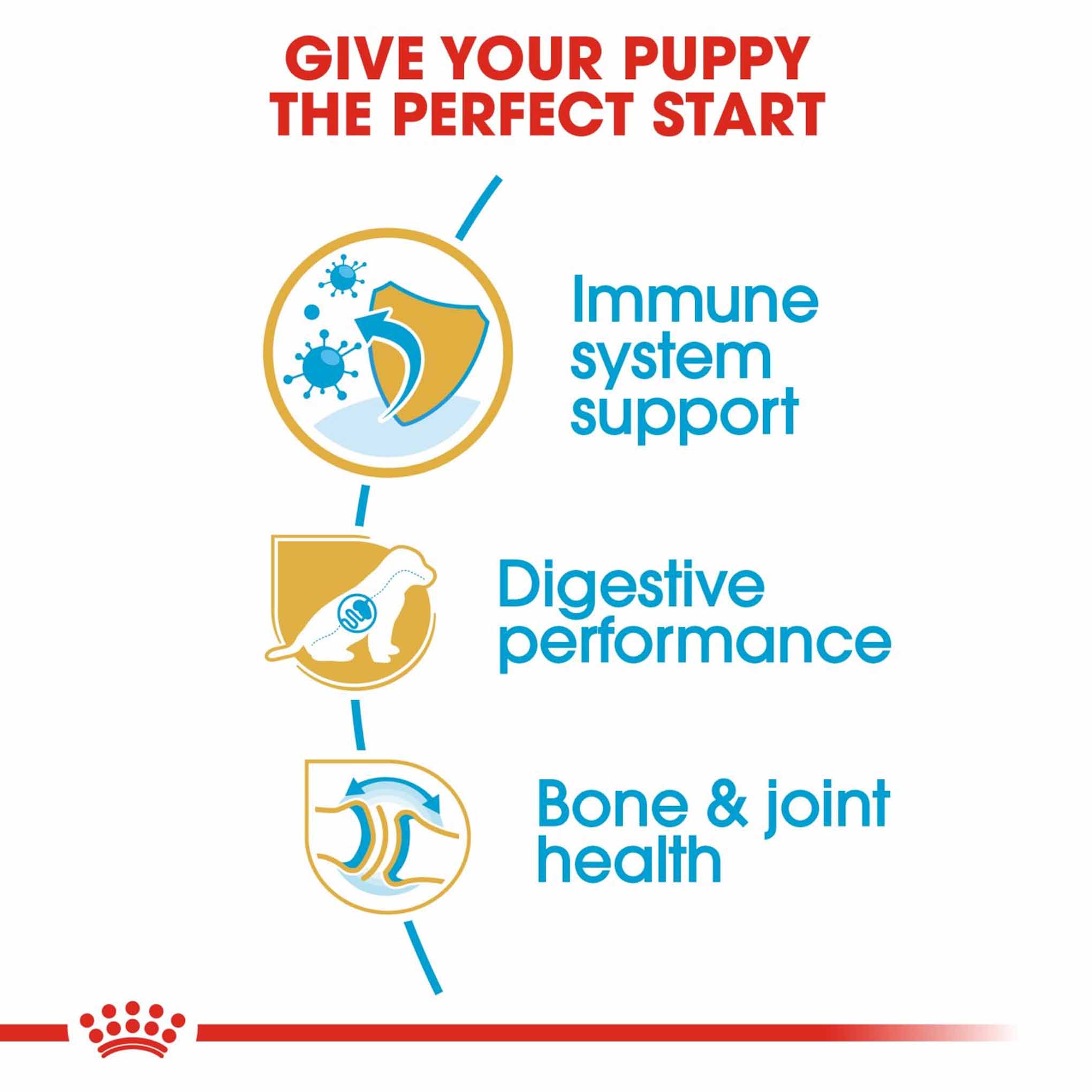 Royal Canin Breed Health Nutrition German Shepherd Puppy Dry Dog Food - Image 5
