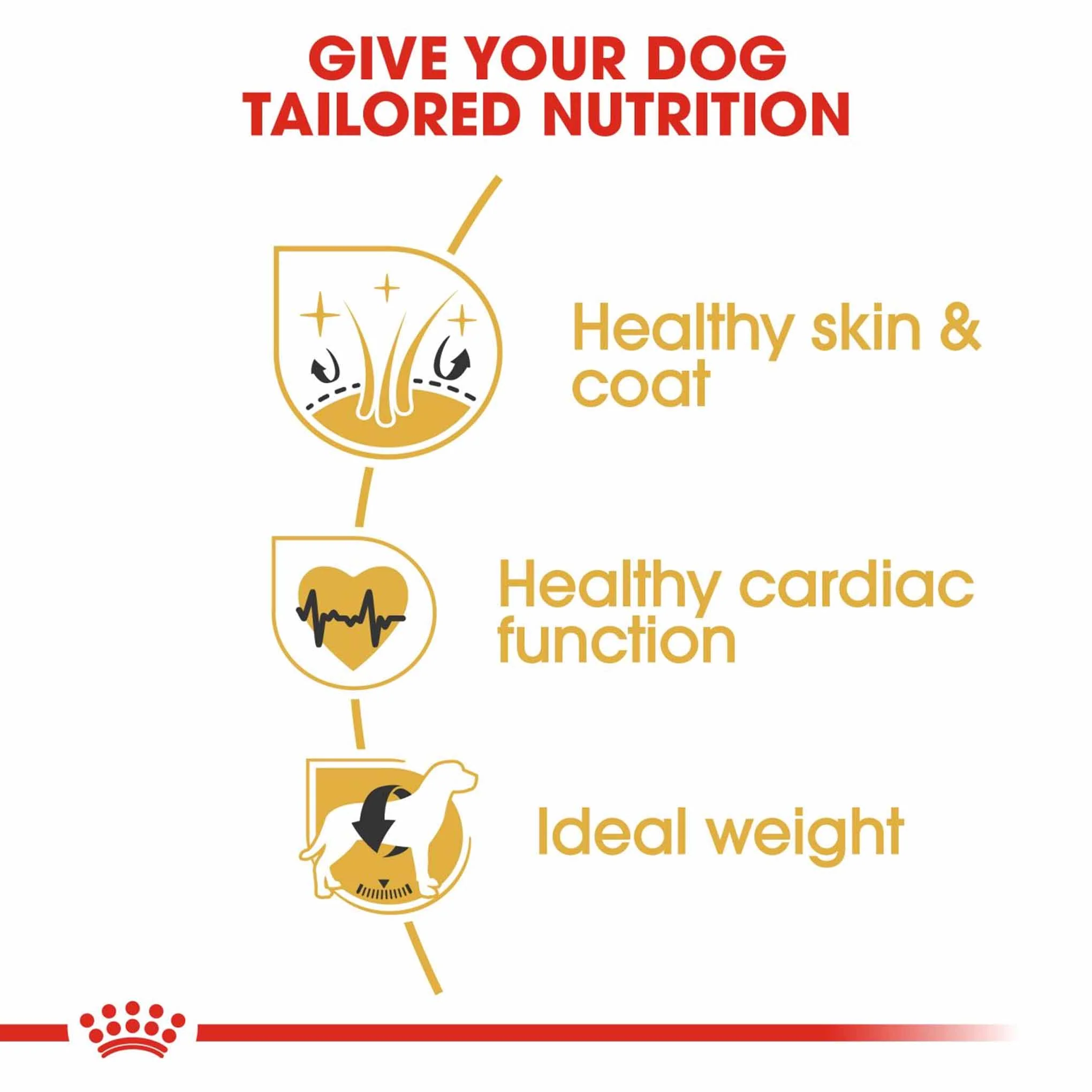 Royal Canin Breed Health Nutrition Golden Retriever Adult Dry Dog Food - Image 7