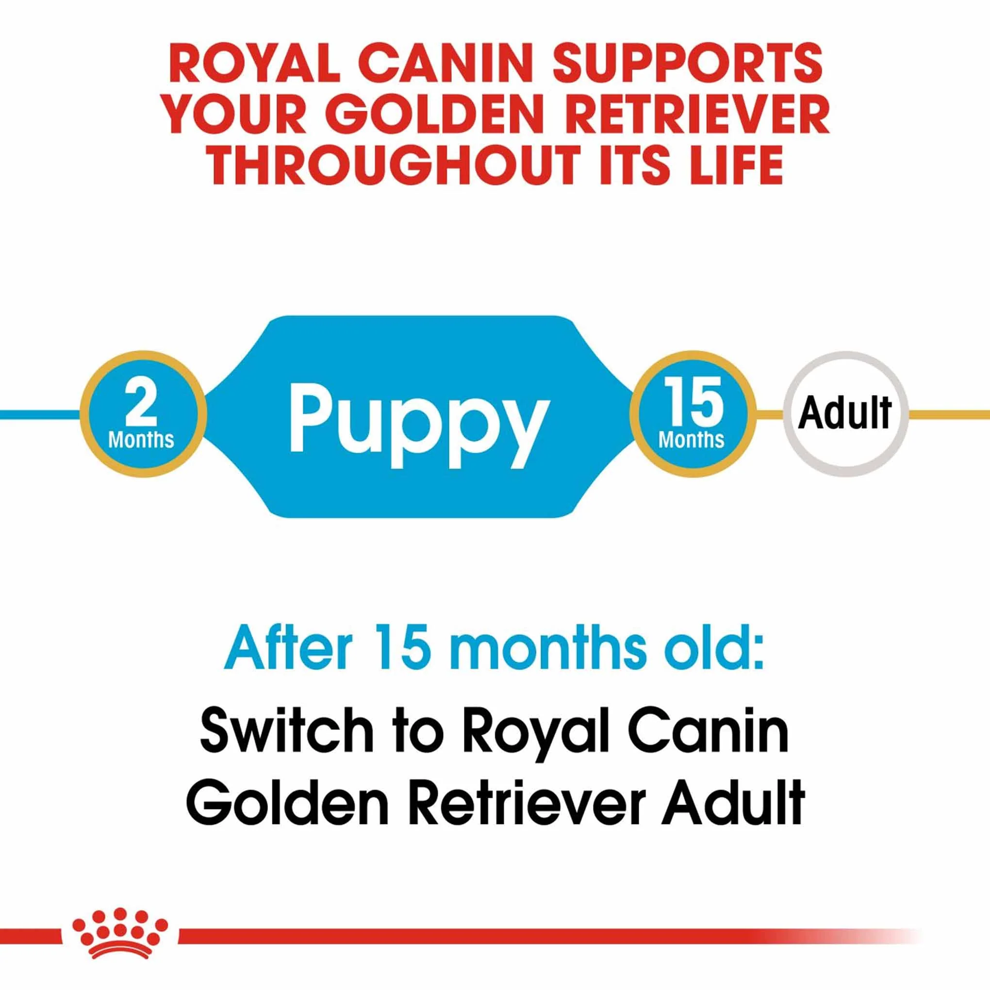 Royal Canin Breed Health Nutrition Golden Retriever Puppy Dry Dog Food - Image 3