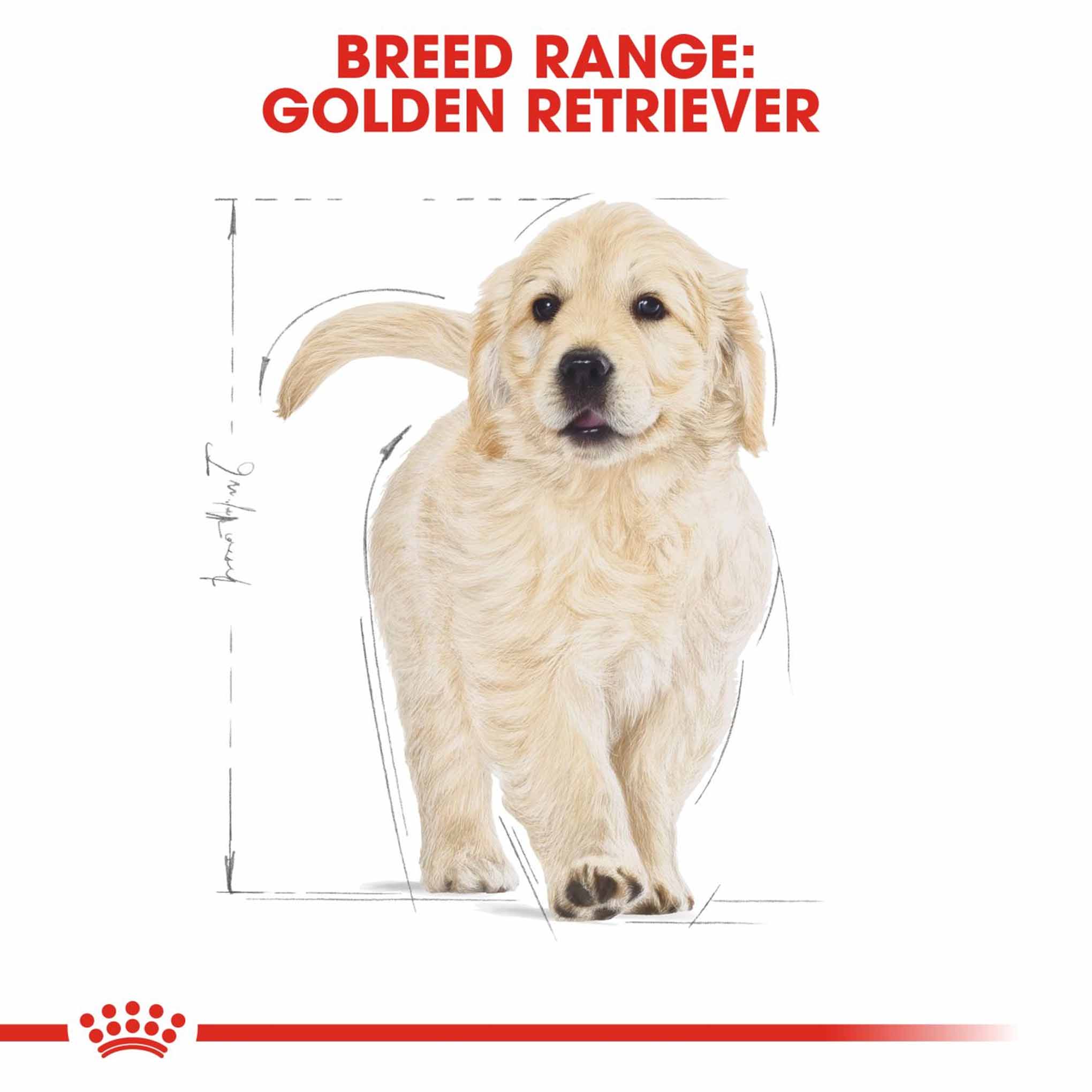 Royal Canin Breed Health Nutrition Golden Retriever Puppy Dry Dog Food - Image 6