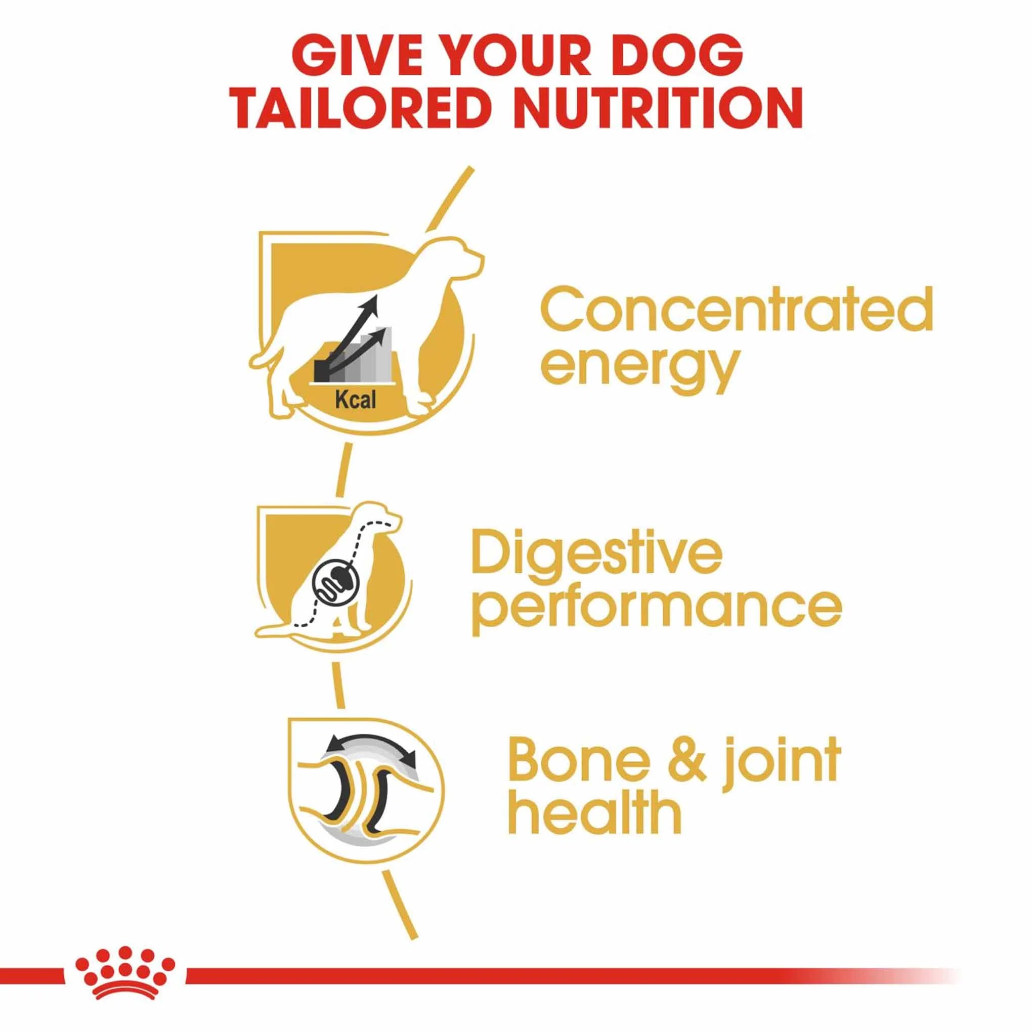 Royal Canin Breed Health Nutrition Great Dane Adult Dry Dog Food - Image 5