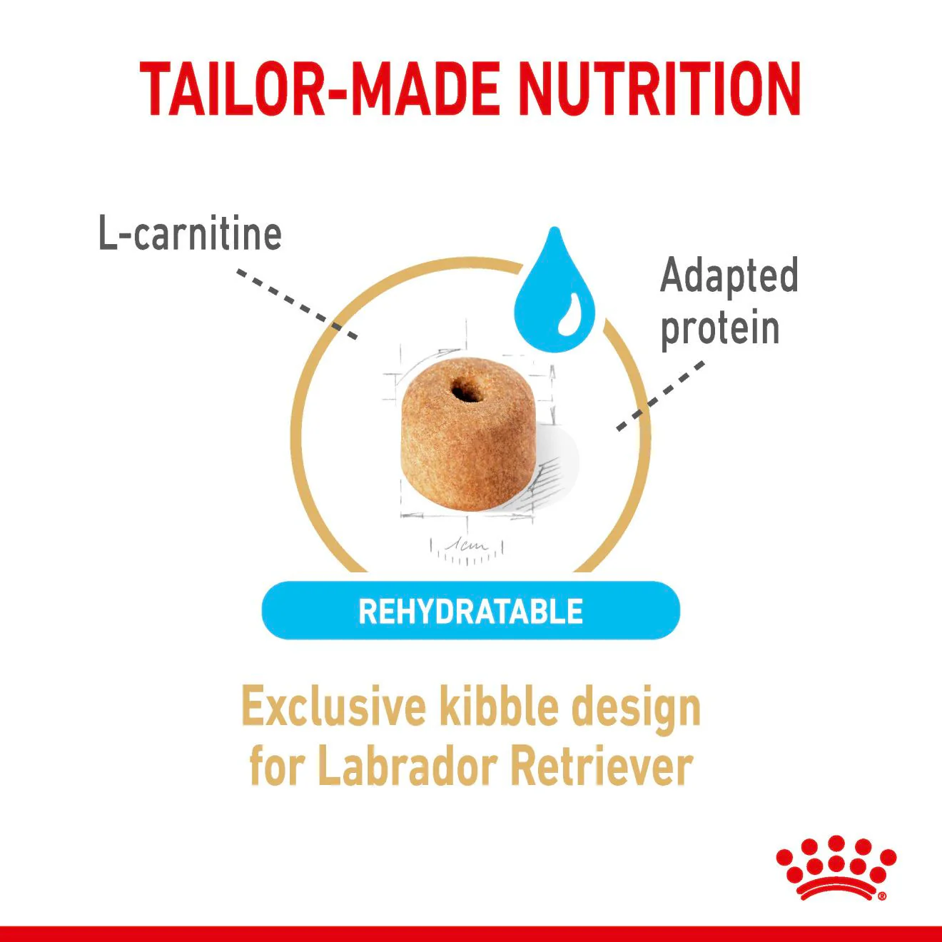 Royal Canin Breed Health Nutrition Labrador Retriever Adult 5+ Dry Dog Food - Image 4