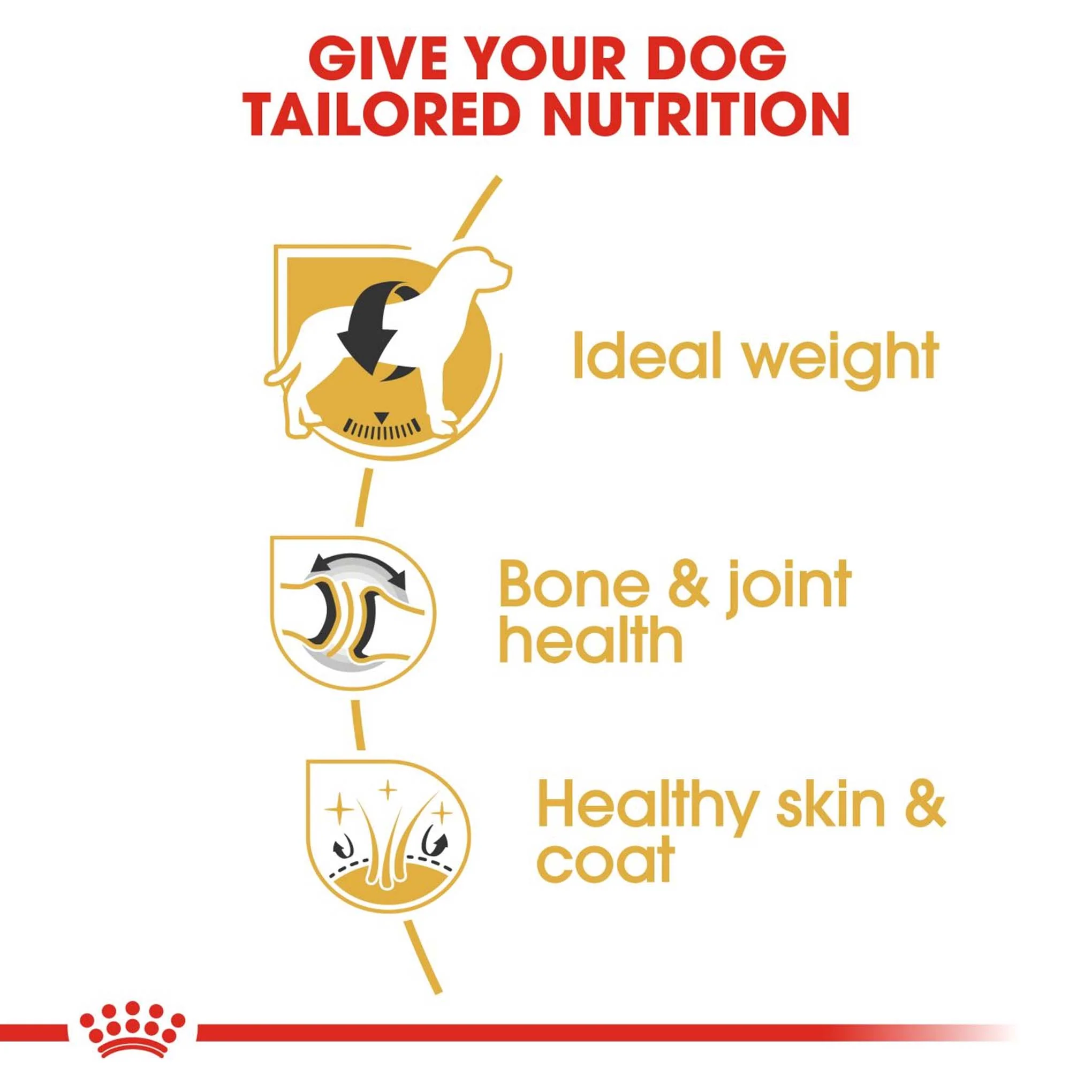 Royal Canin Breed Health Nutrition Labrador Retriever Adult Dry Dog Food - Image 5