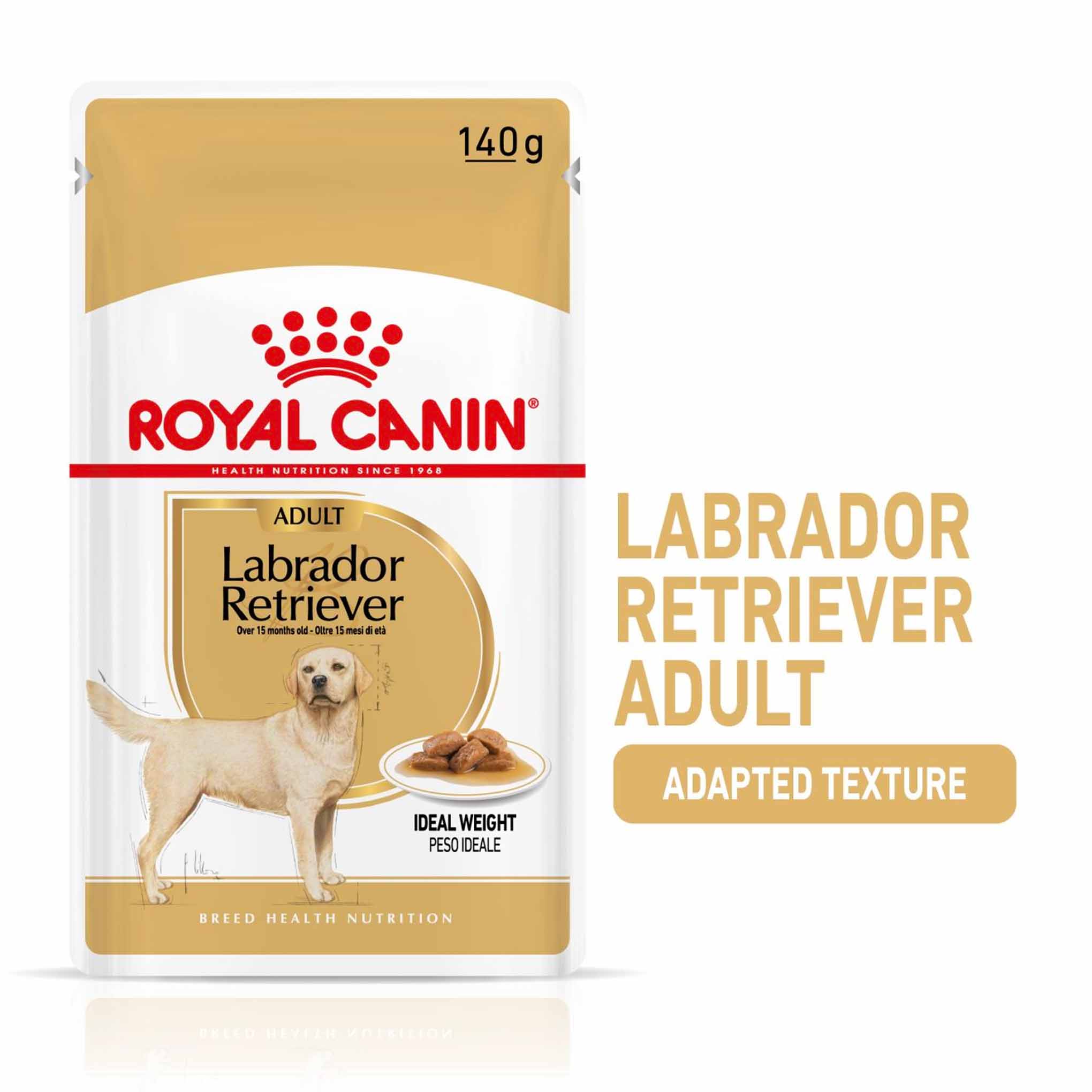 Royal Canin Breed Health Nutrition Labrador Retriever Adult Wet Dog Food - 10x140g Pouches - Image 2
