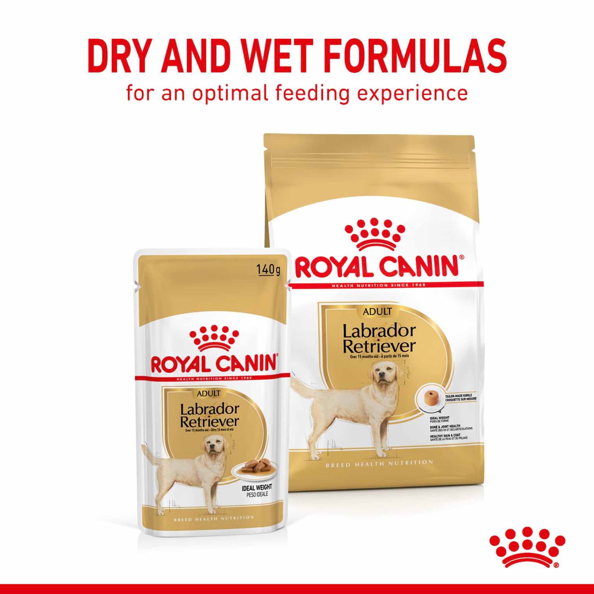 Royal Canin Breed Health Nutrition Labrador Retriever Adult Wet Dog Food - 10x140g Pouches - Image 7