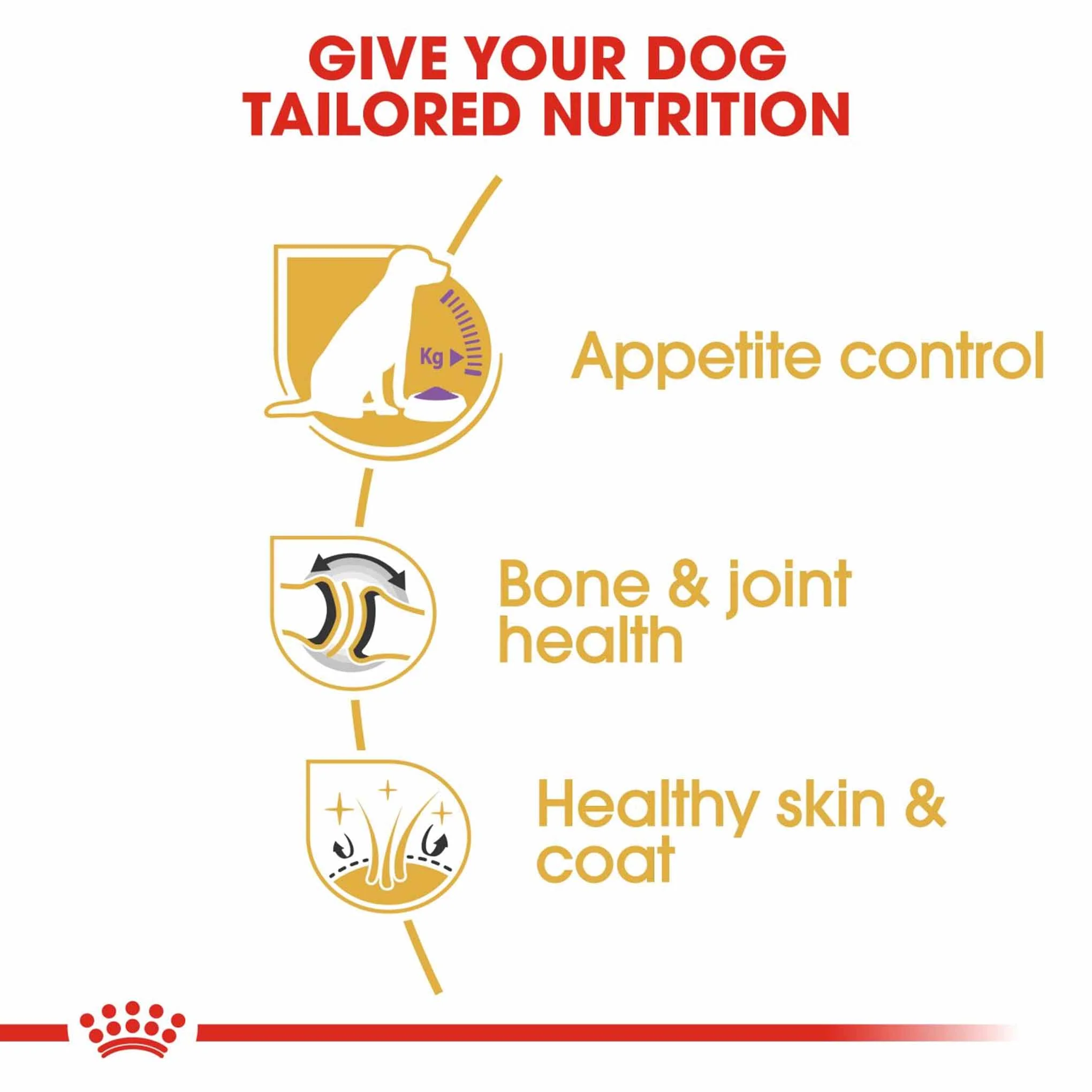 ROYAL CANIN Breed Health Nutrition Labrador Sterilised Adult Dry Dog Food - Image 3