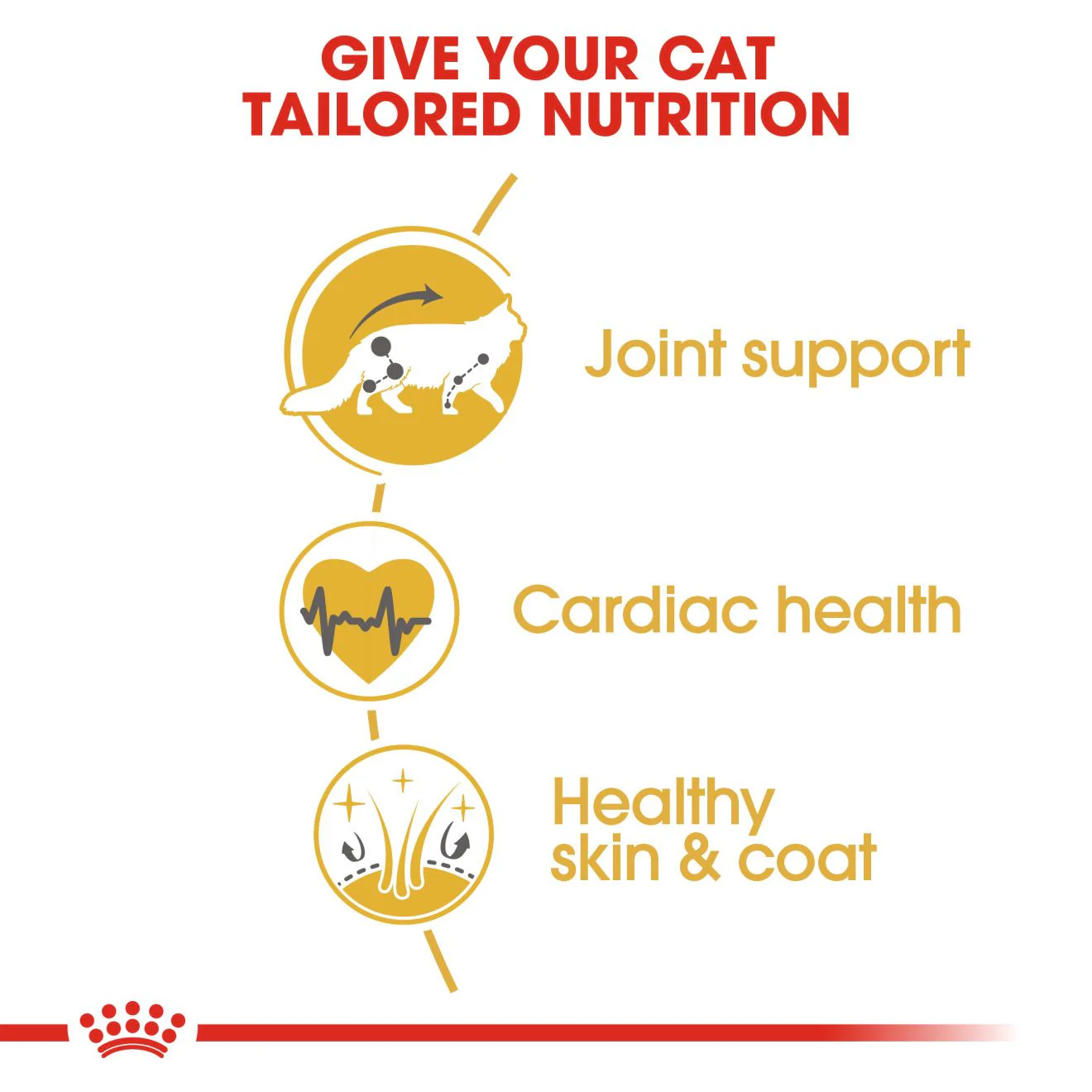 Royal Canin Breed Health Nutrition Maine Coon Adult Dry Cat Food - Image 5