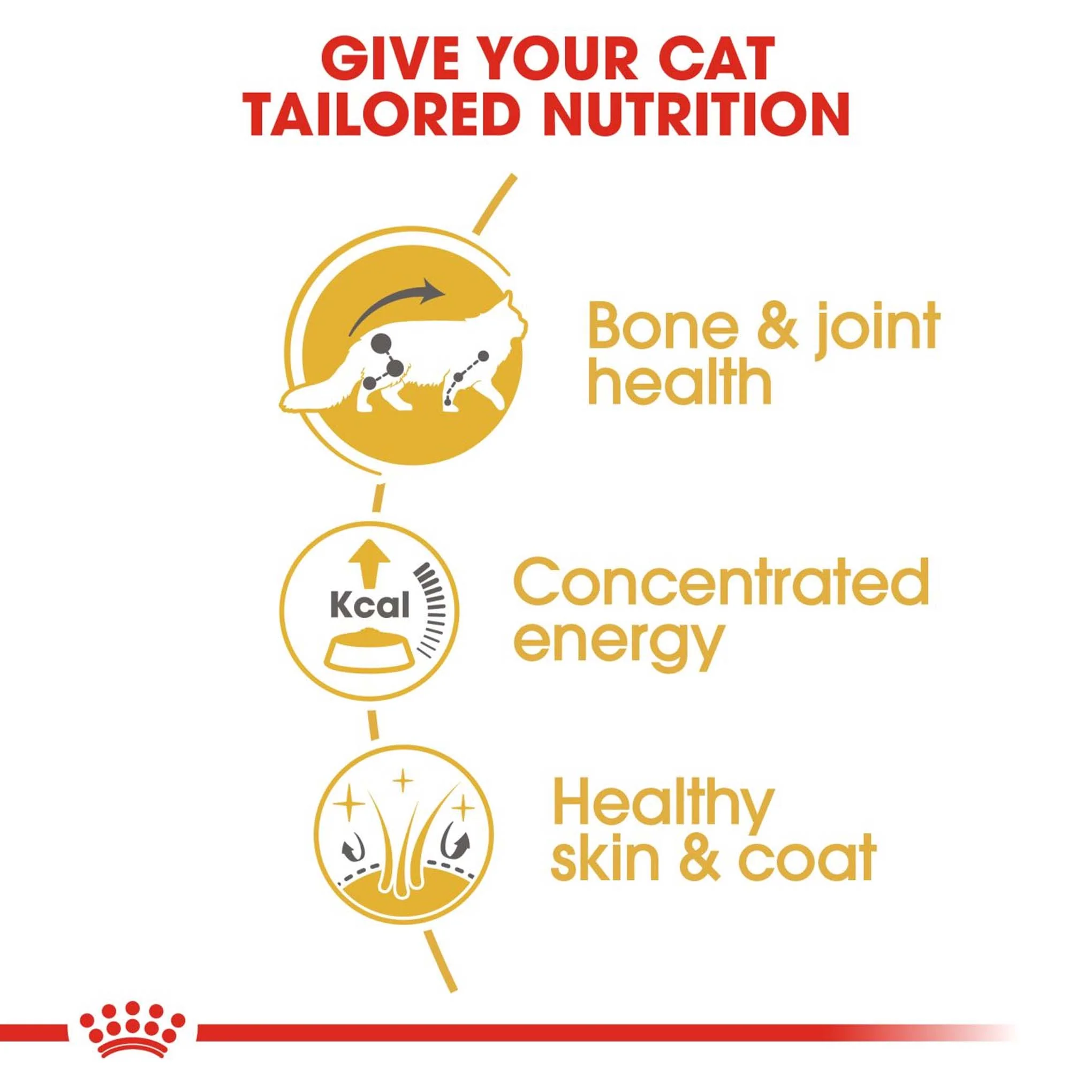 ROYAL CANIN Breed Health Nutrition Maine Coon Adult In Gravy Wet Cat Food - 12x85g Pouches - Image 5