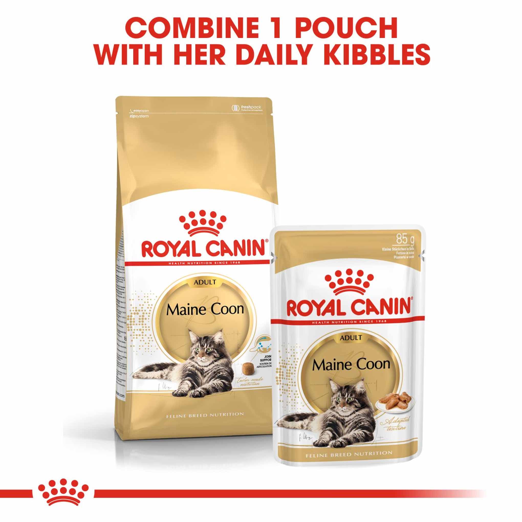 ROYAL CANIN Breed Health Nutrition Maine Coon Adult In Gravy Wet Cat Food - 12x85g Pouches - Image 7