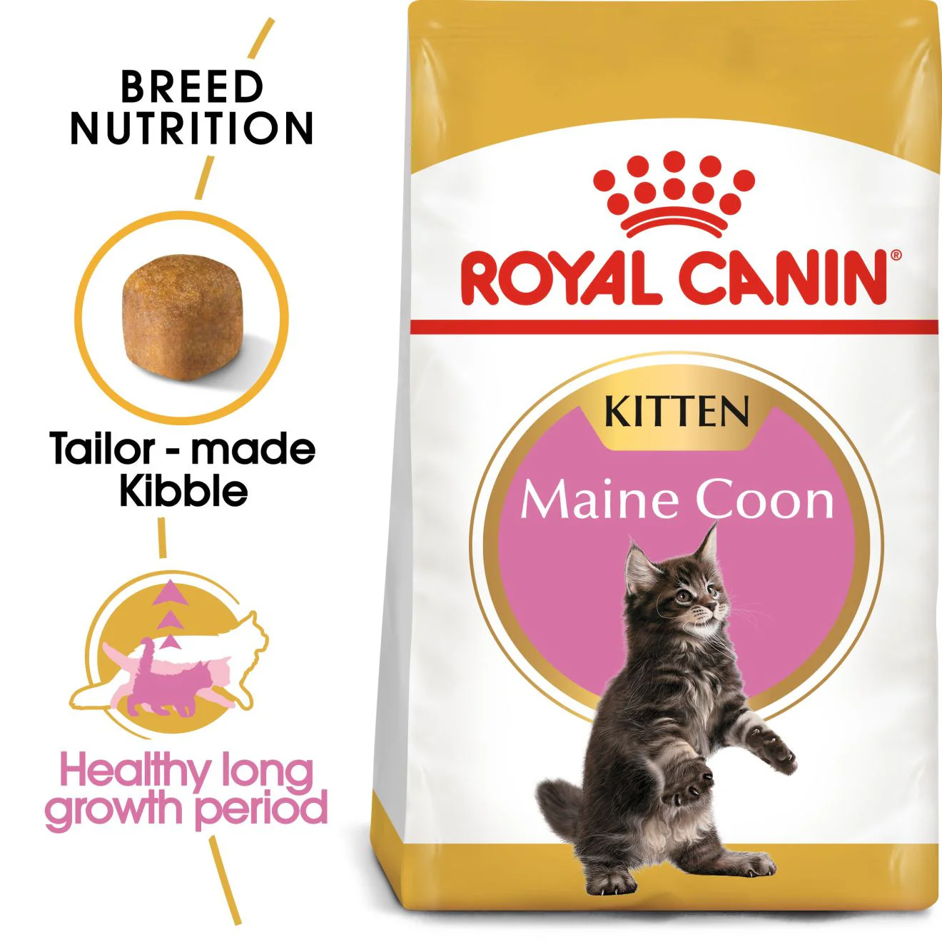 ROYAL CANIN Breed Health Nutrition Maine Coon Kitten Dry Cat Food - Image 2