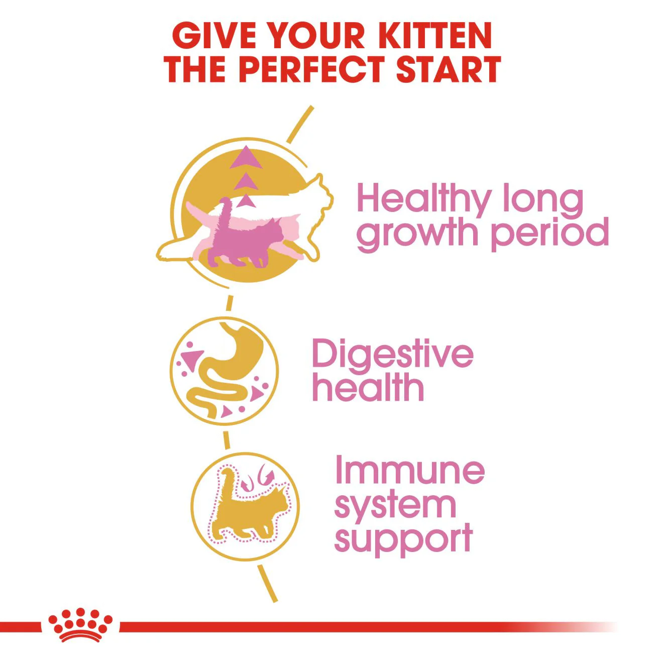 ROYAL CANIN Breed Health Nutrition Maine Coon Kitten Dry Cat Food - Image 3