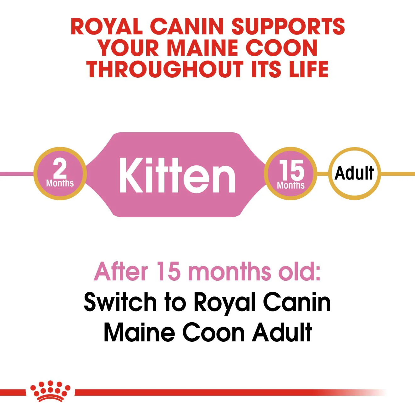 ROYAL CANIN Breed Health Nutrition Maine Coon Kitten Dry Cat Food - Image 4