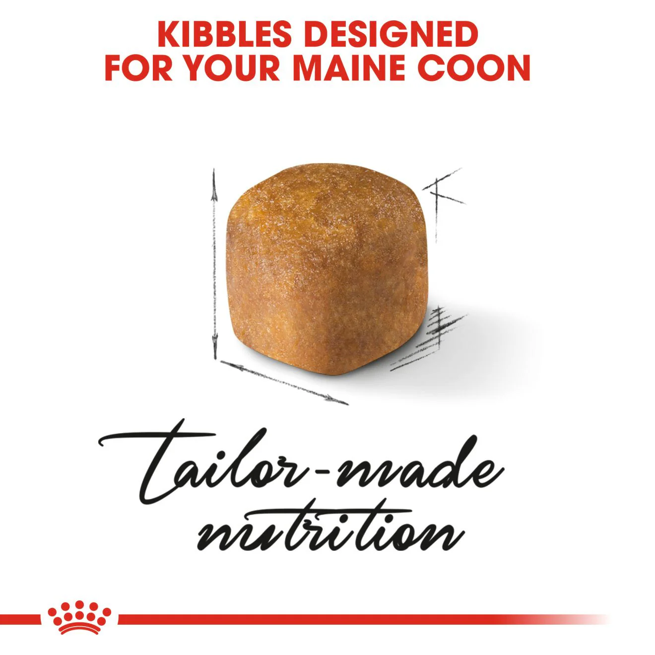 ROYAL CANIN Breed Health Nutrition Maine Coon Kitten Dry Cat Food - Image 5
