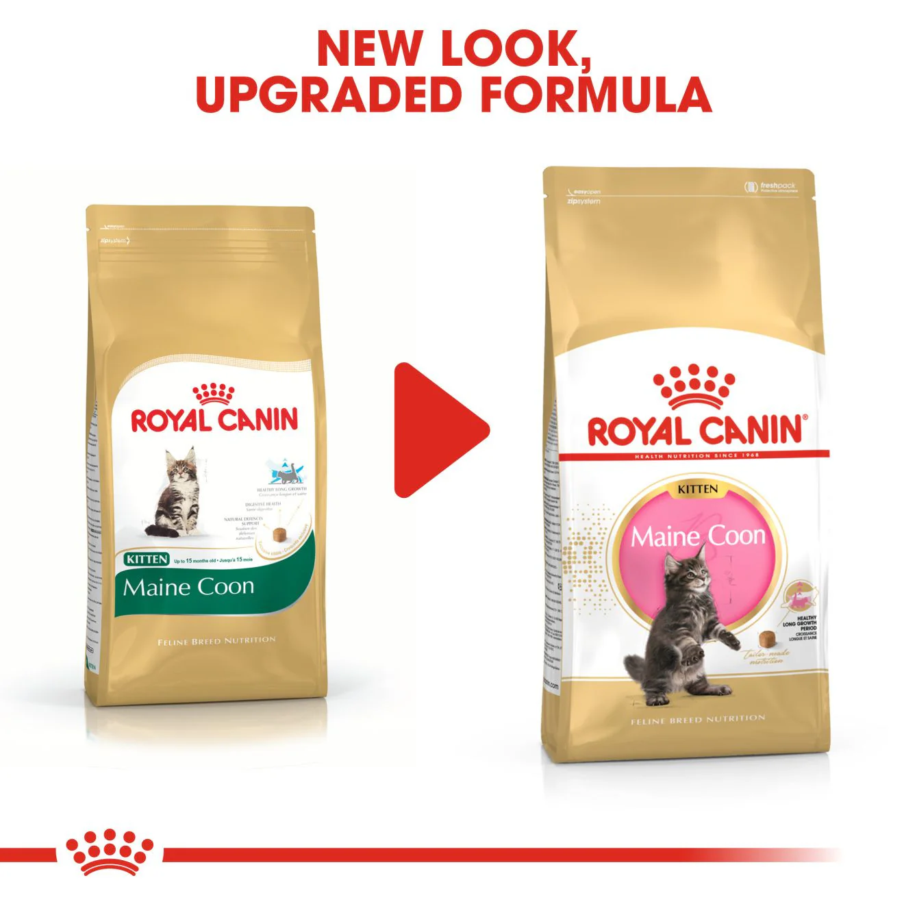ROYAL CANIN Breed Health Nutrition Maine Coon Kitten Dry Cat Food - Image 8