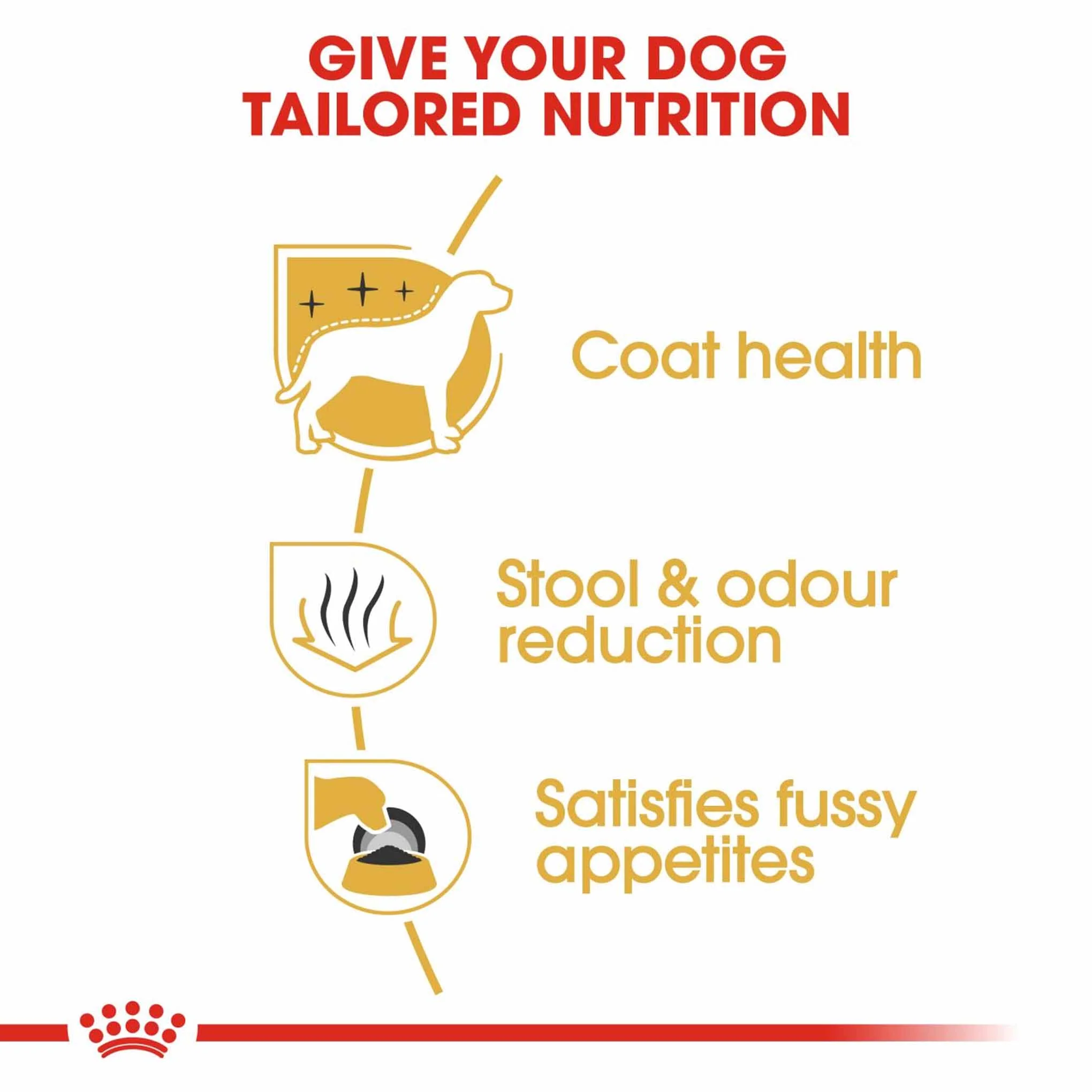 Royal Canin Breed Health Nutrition Maltese Adult Adult Dry Dog Food - Image 3