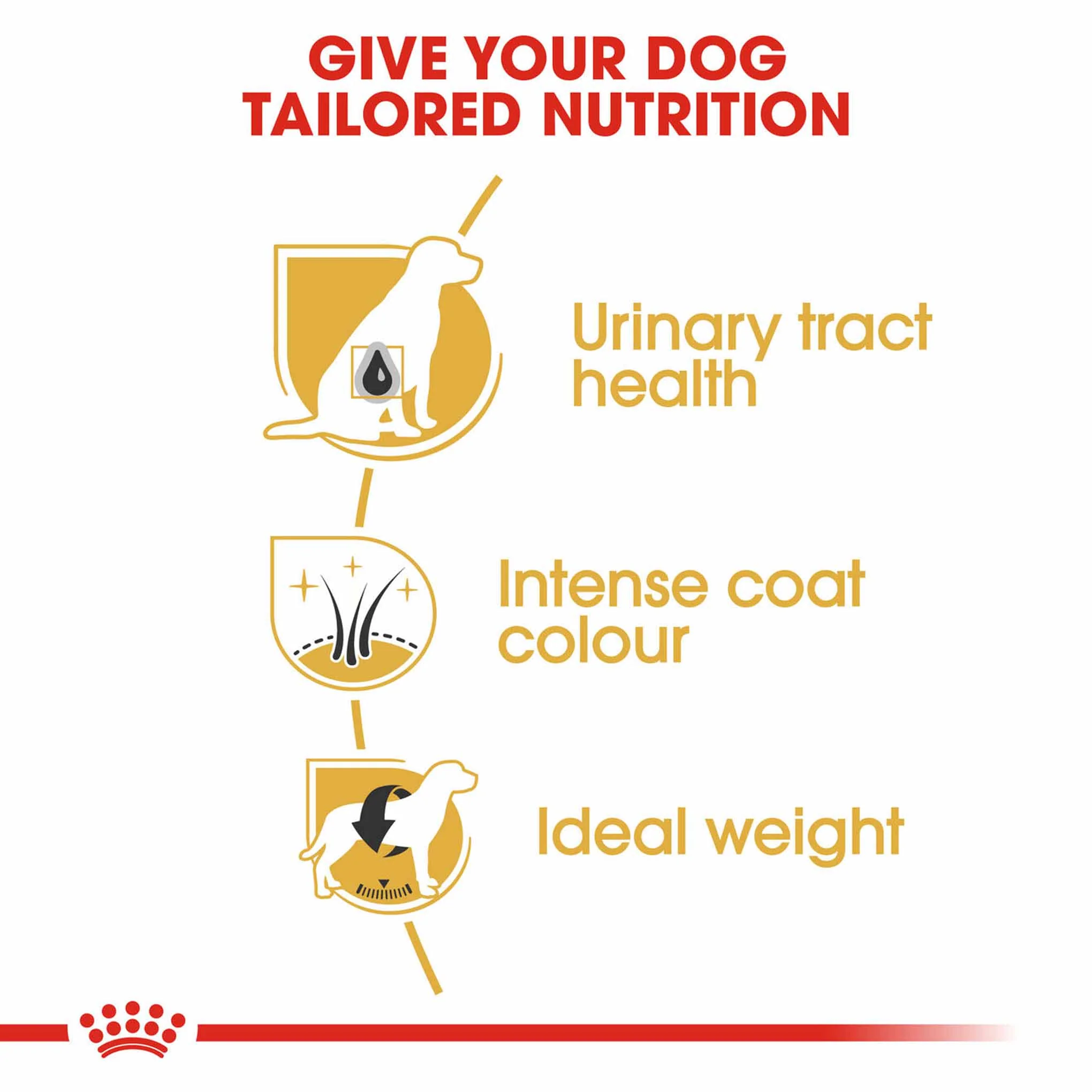 Royal Canin Breed Health Nutrition Miniature Schnauzer Adult Dry Dog Food - Image 3