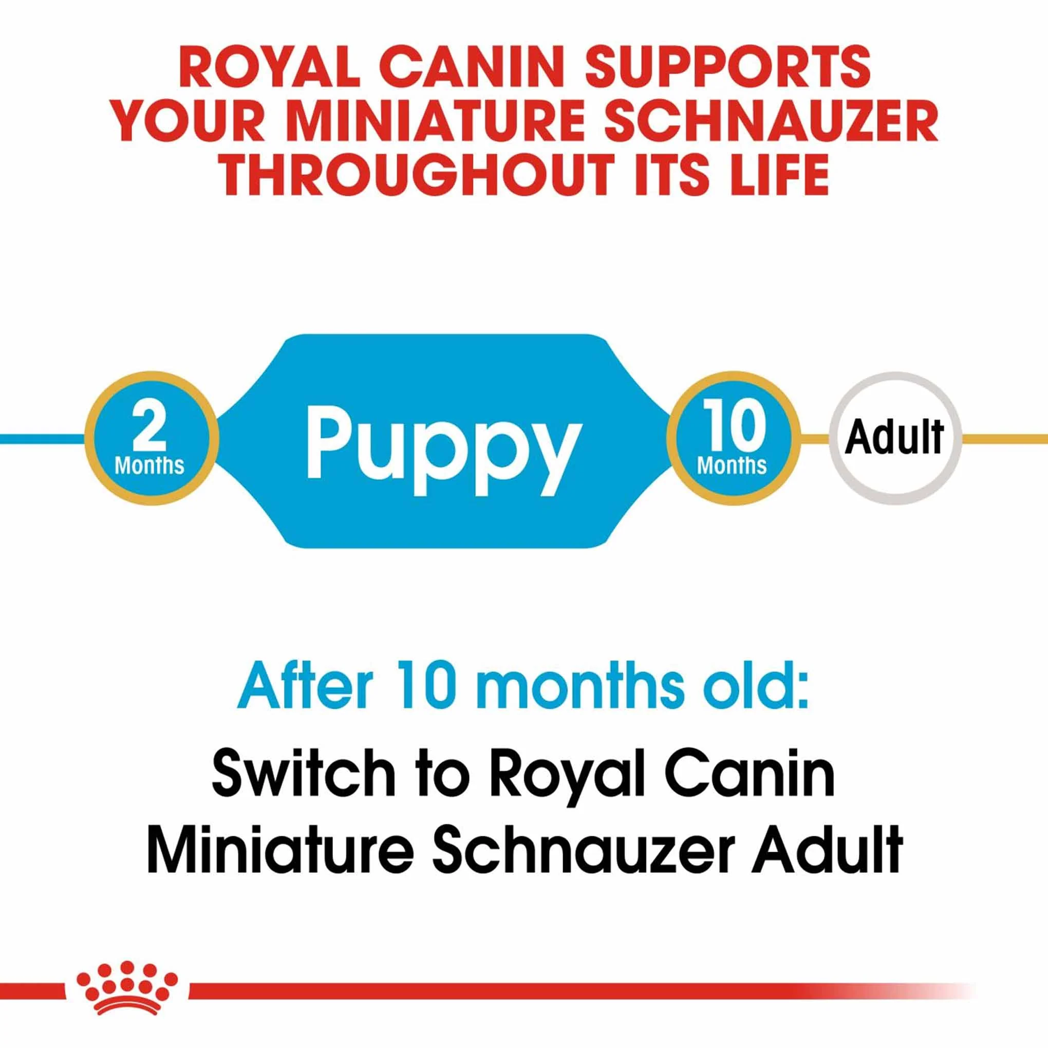 Royal Canin Breed Health Nutrition Miniature Schnauzer Puppy Dry Dog Food - Image 4
