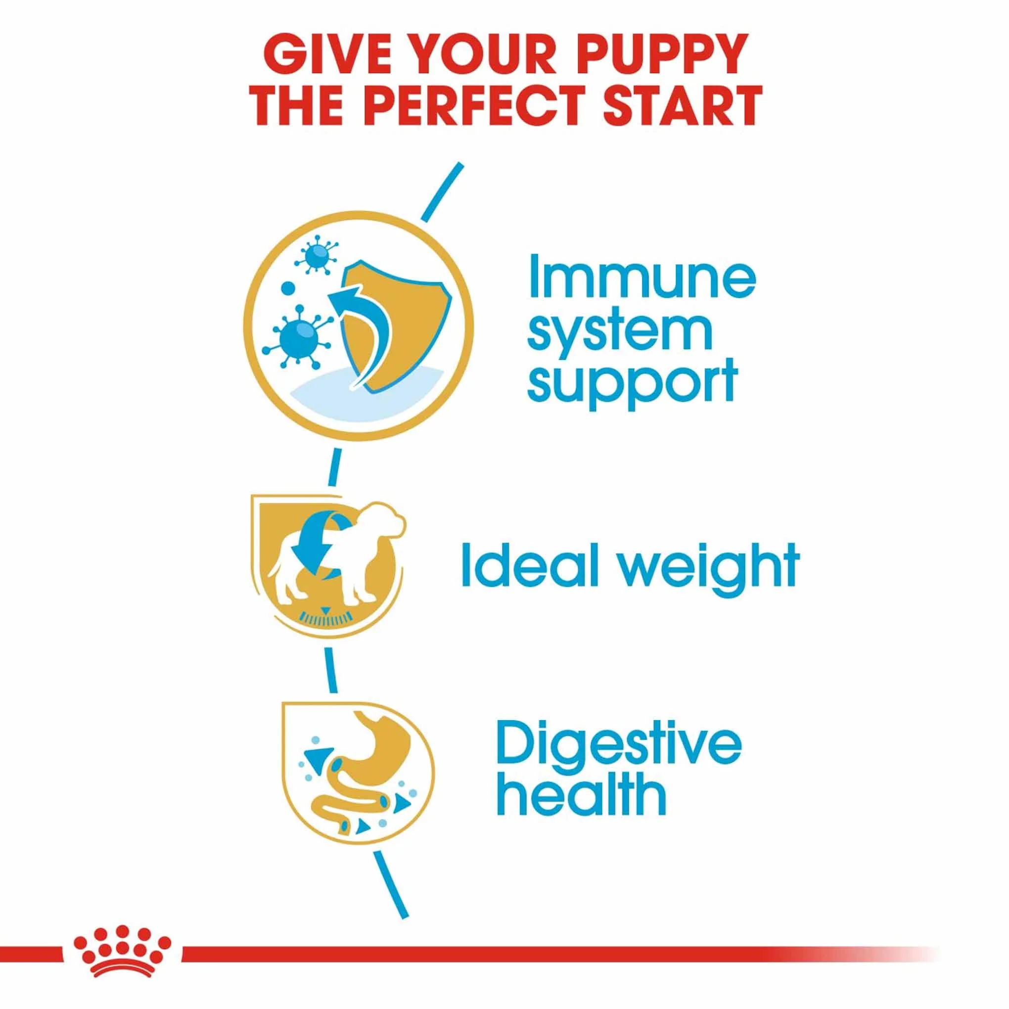 Royal Canin Breed Health Nutrition Miniature Schnauzer Puppy Dry Dog Food - Image 6