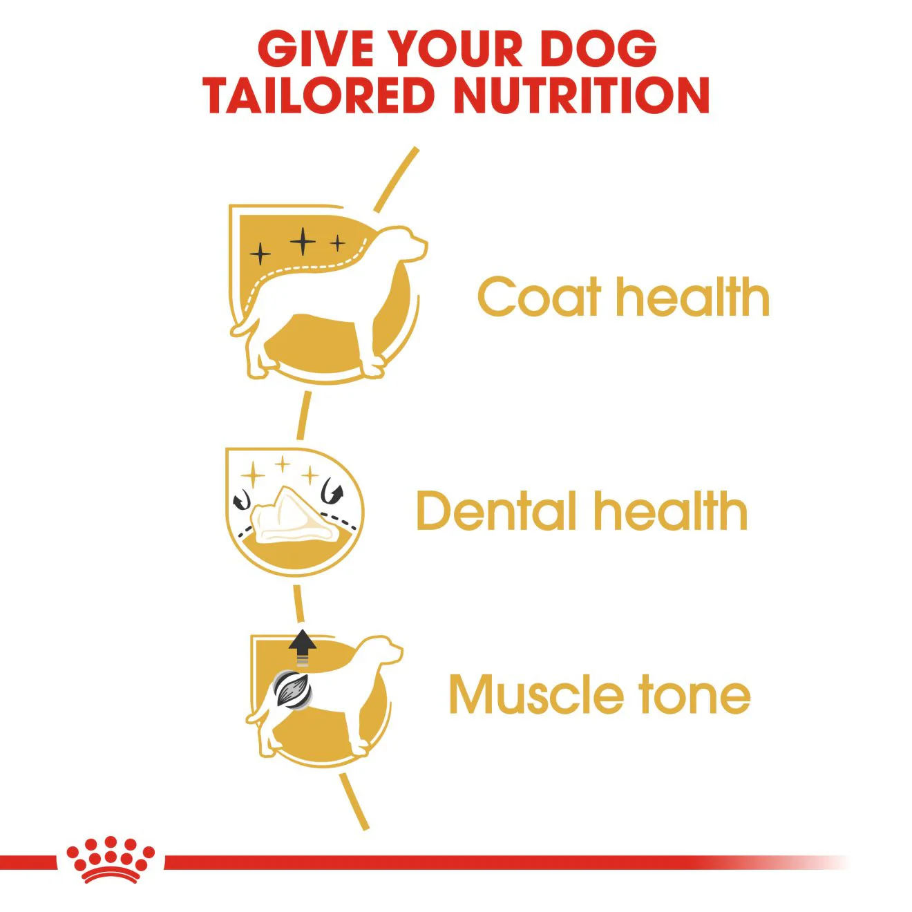 Royal Canin Breed Health Nutrition Poodle Adult Dry Dog Food - Image 4