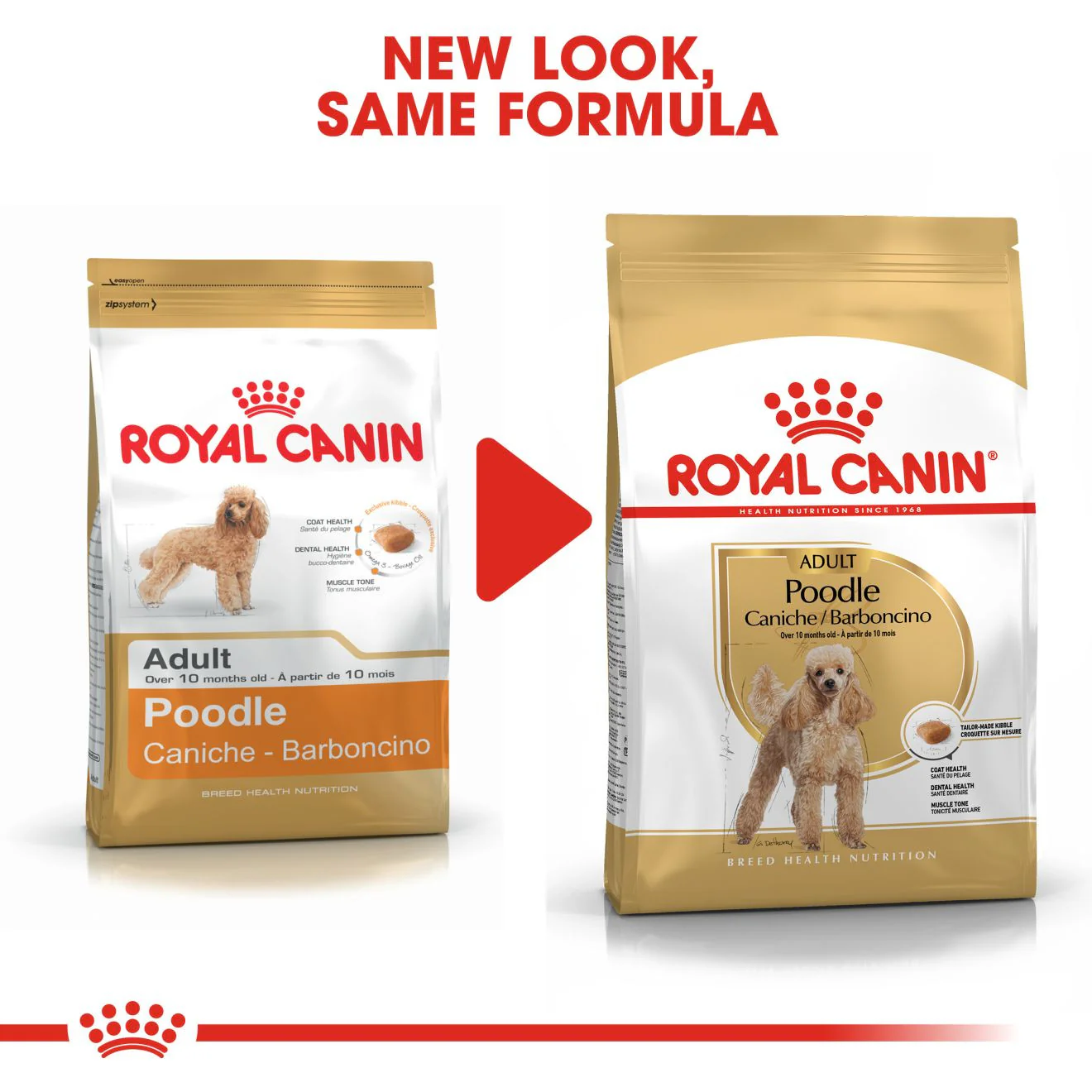 Royal Canin Breed Health Nutrition Poodle Adult Dry Dog Food - Image 6