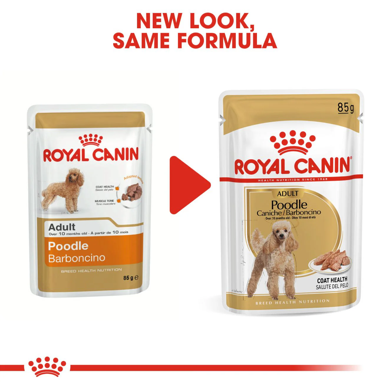 Royal Canin Breed Health Nutrition Poodle Adult Wet Dog Food - 12x85g Pouches - Image 2