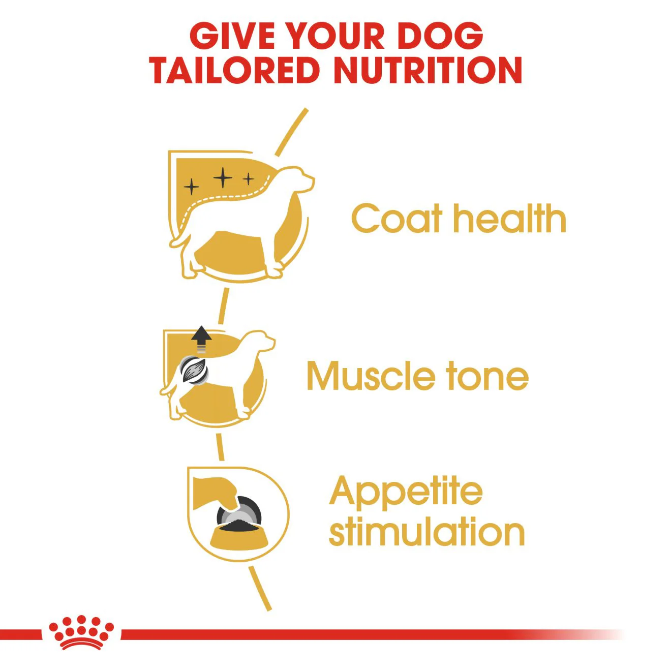Royal Canin Breed Health Nutrition Poodle Adult Wet Dog Food - 12x85g Pouches - Image 4