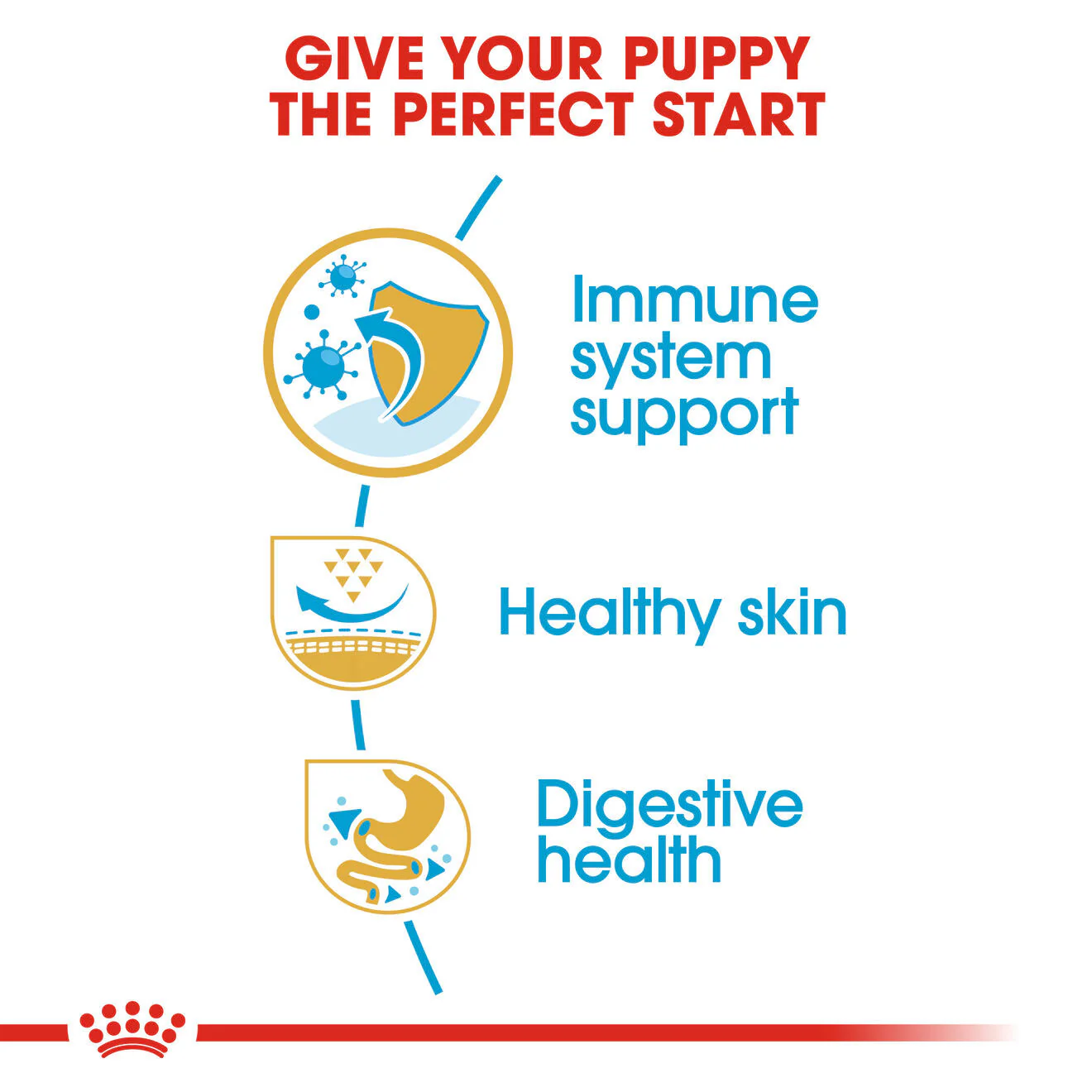 Royal Canin Breed Health Nutrition Pug Puppy Dry Dog Food - Image 3