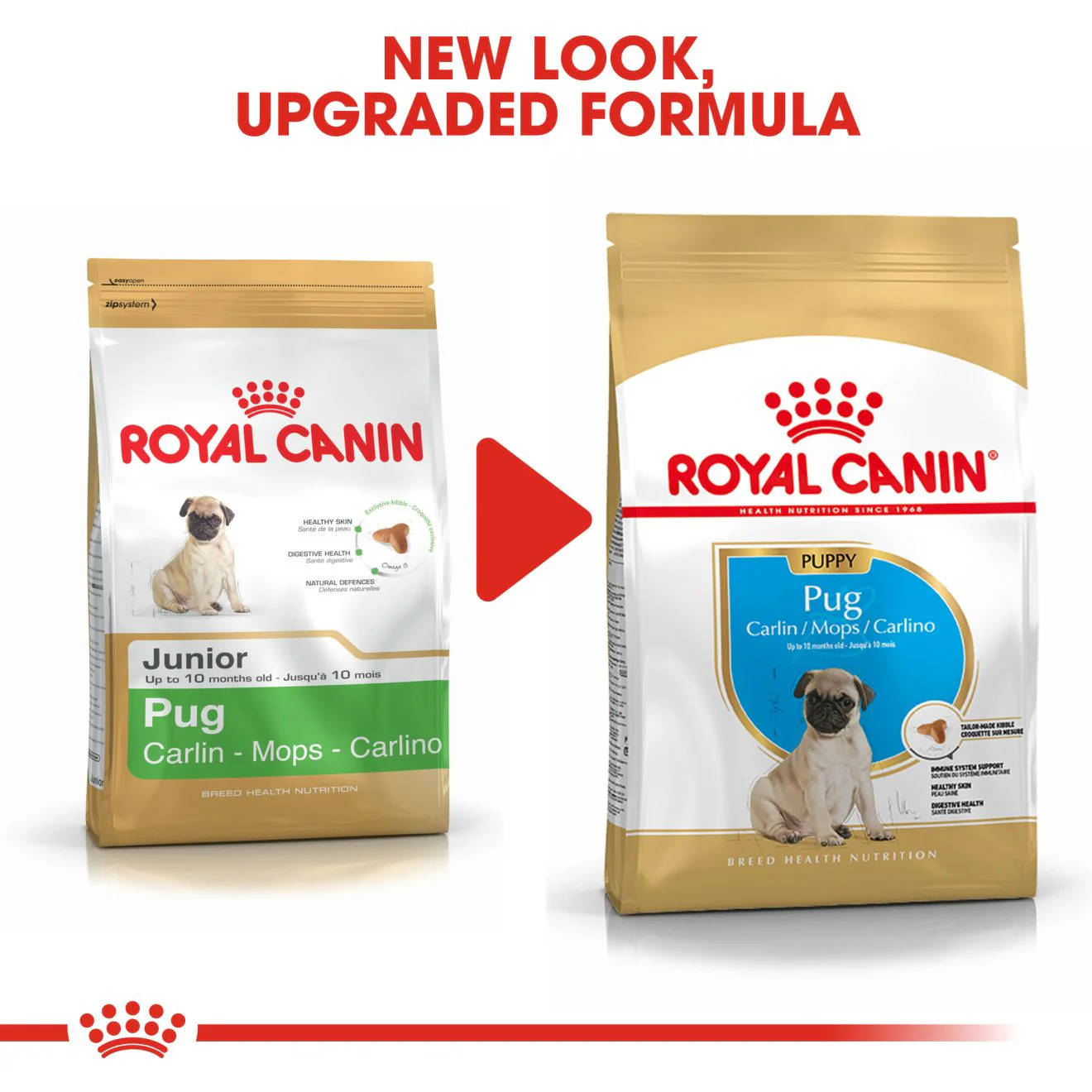 Royal Canin Breed Health Nutrition Pug Puppy Dry Dog Food - Image 7