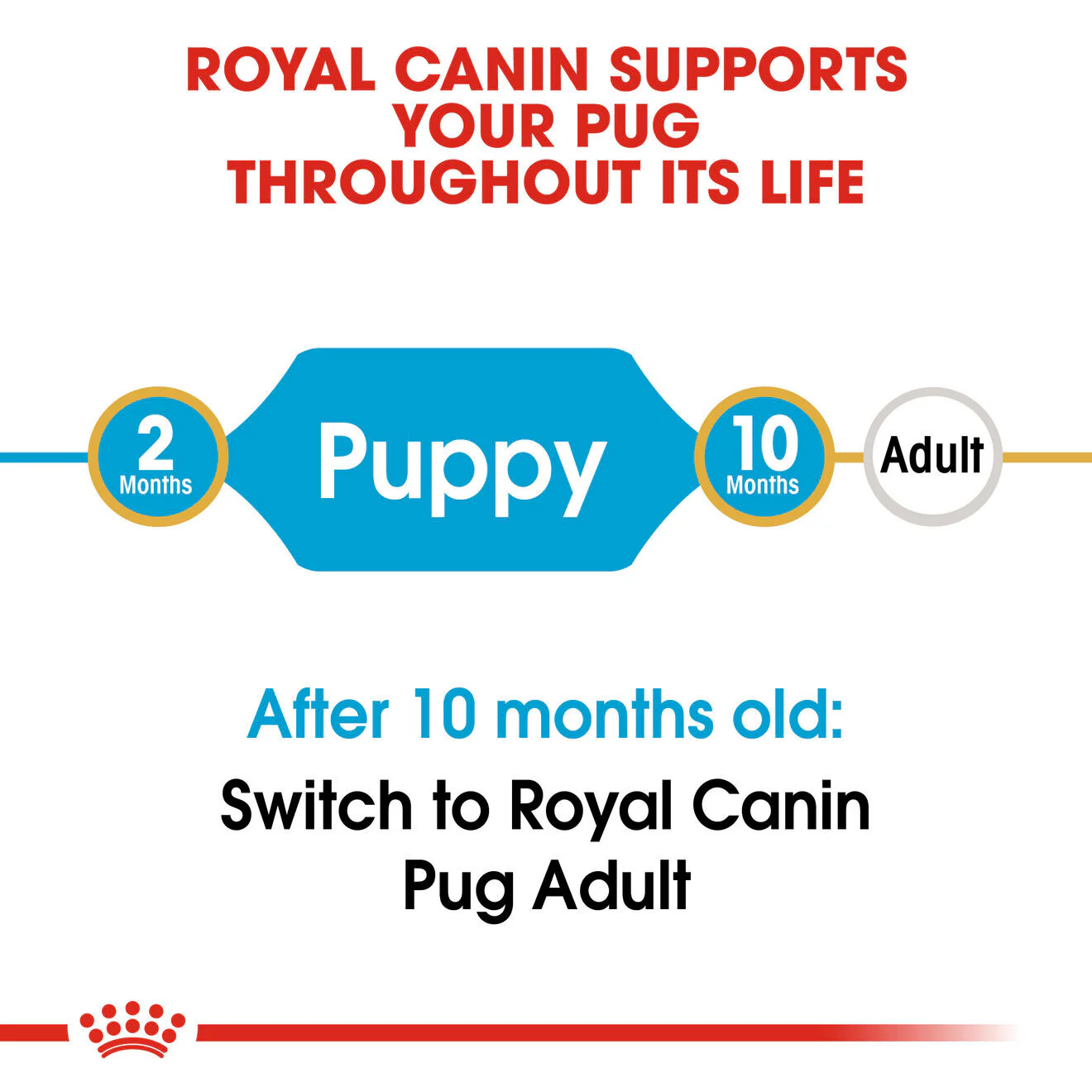 Royal Canin Breed Health Nutrition Pug Puppy Dry Dog Food - Image 8